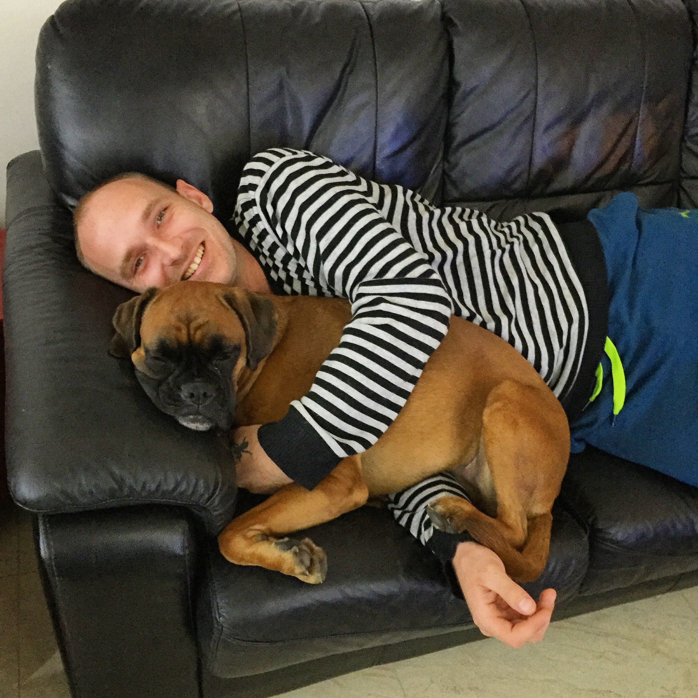 My ״Star״ Boxer Dog