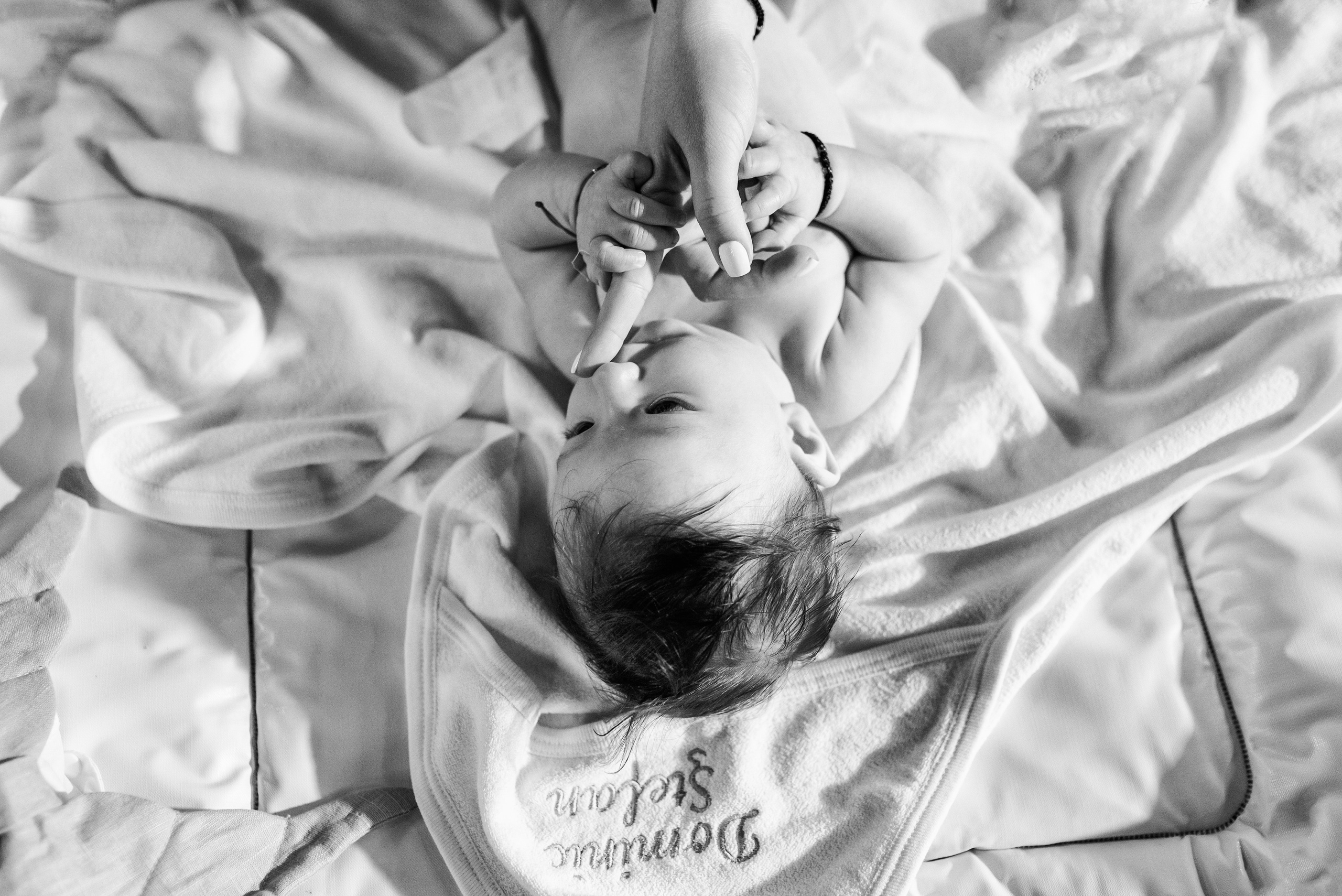 Dominic. Fotograf nunta si evenimente Giurgiu