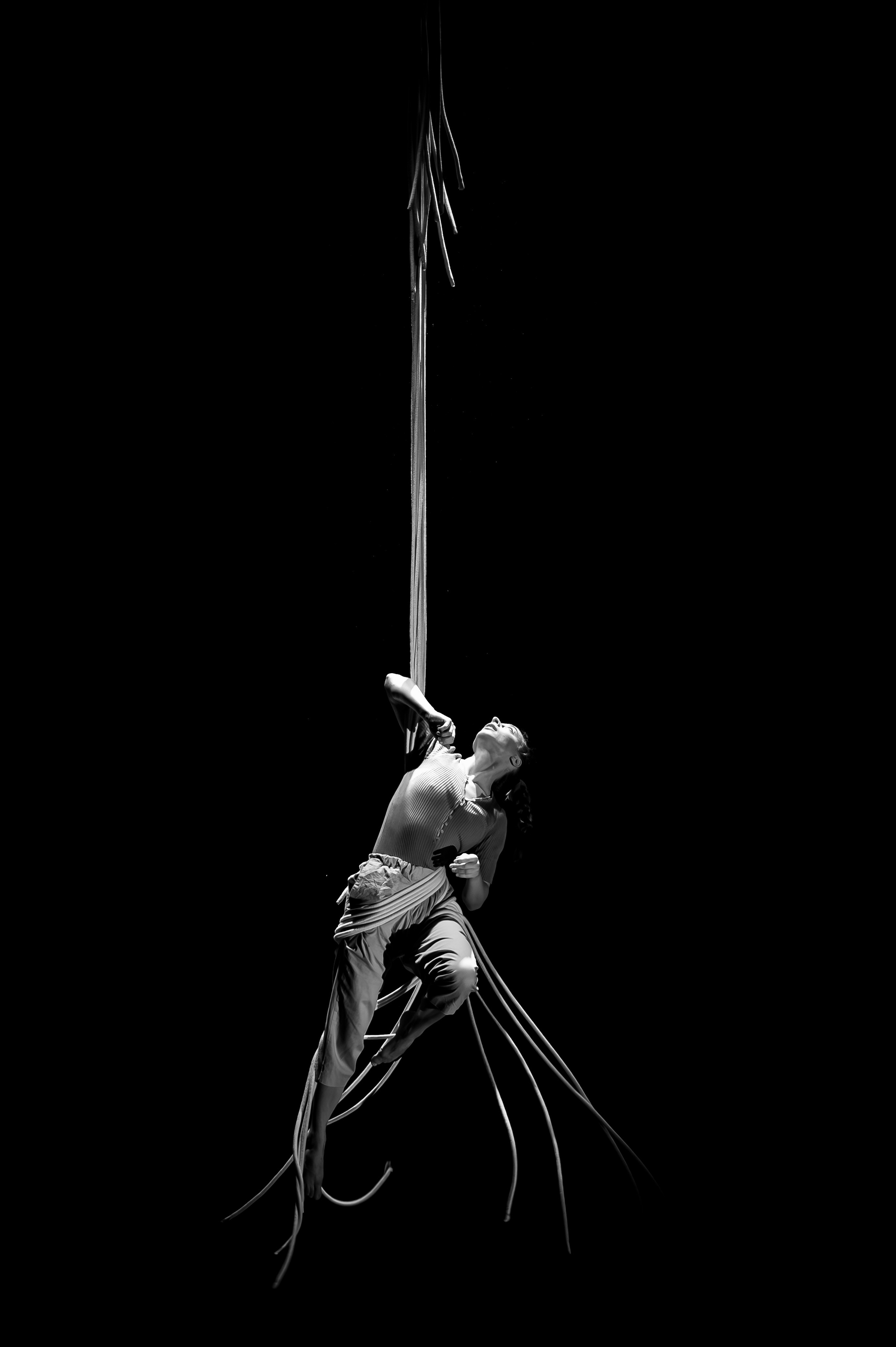 Circus kolektiv spektaklis. Rokas Baranauskas fotografija