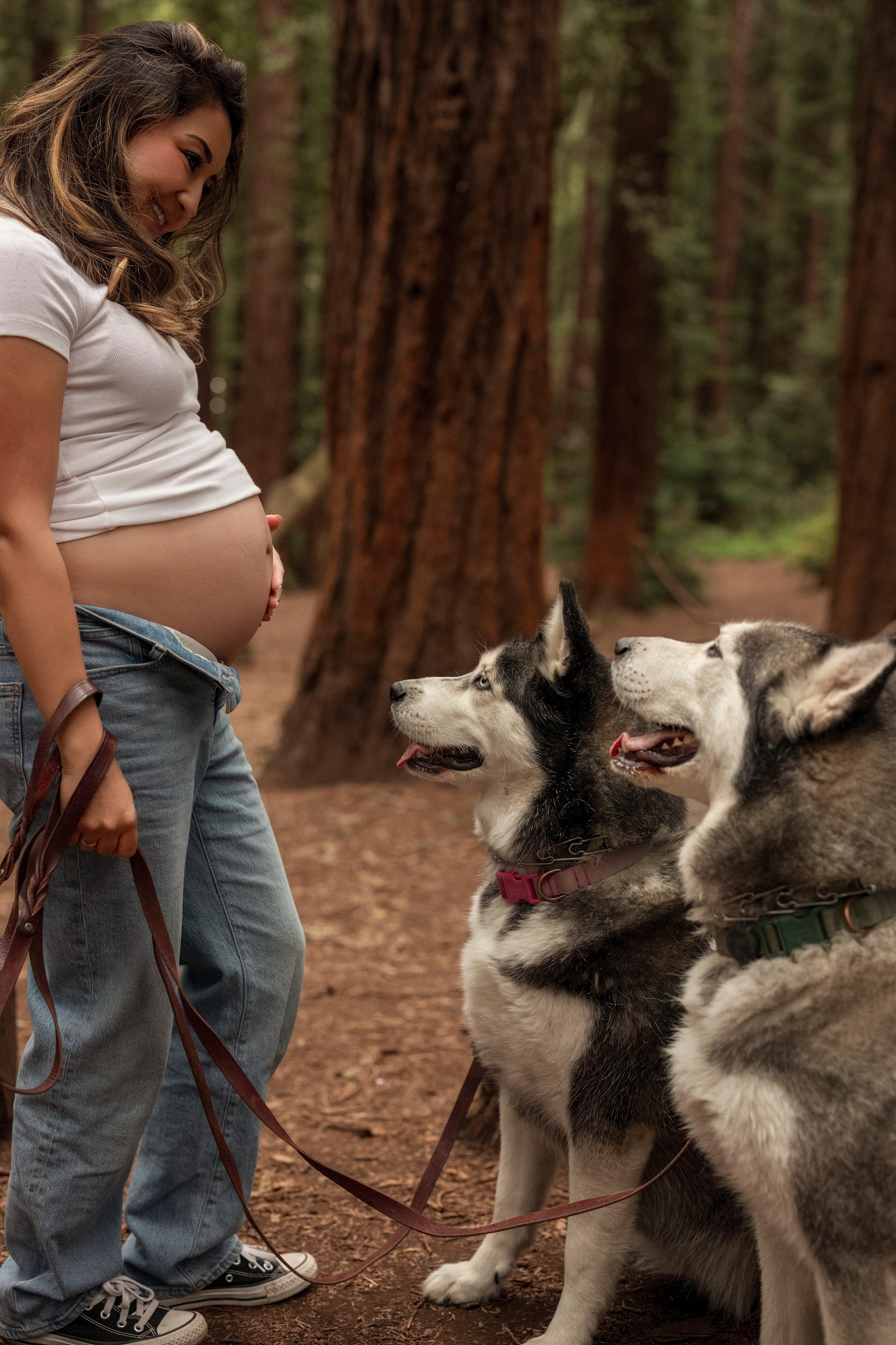 Wood. Bay Area Photographer: family, maternity, love story, wedding