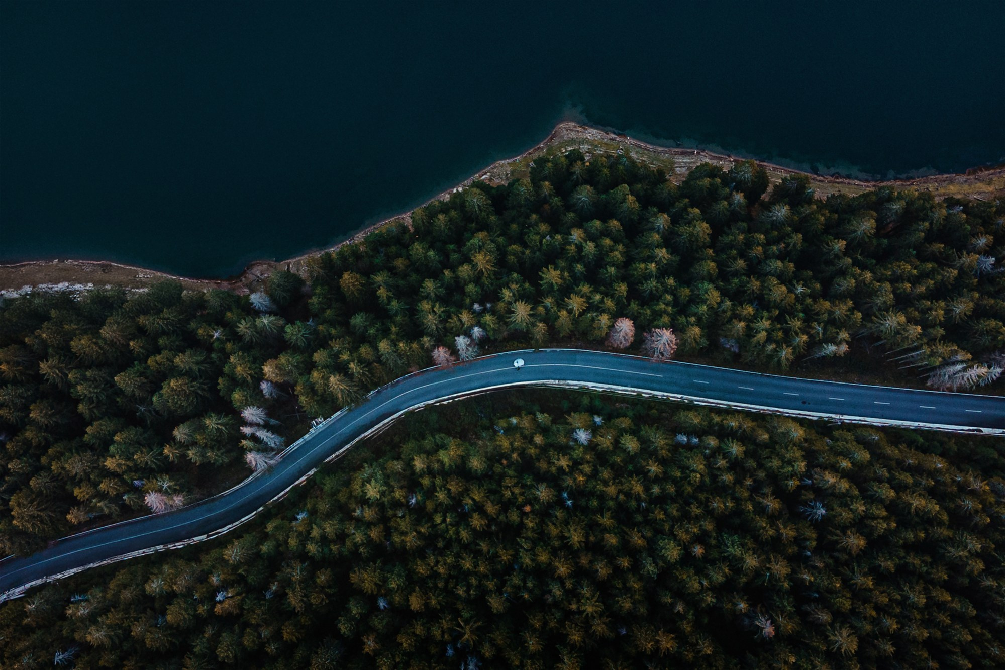 fotografie aeriană natură ședință foto nuntă