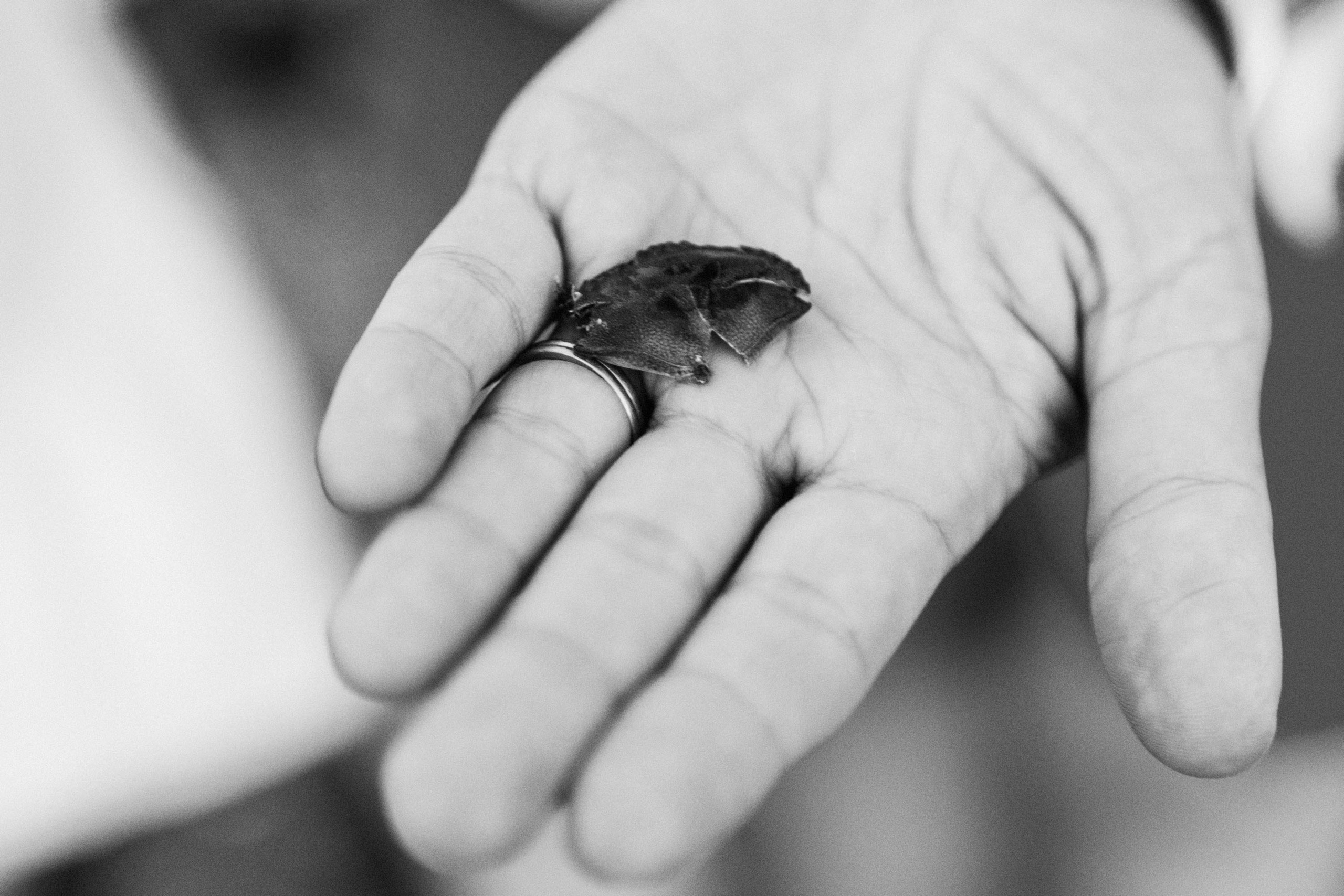 Seaside | Family Photographer in London and Kent