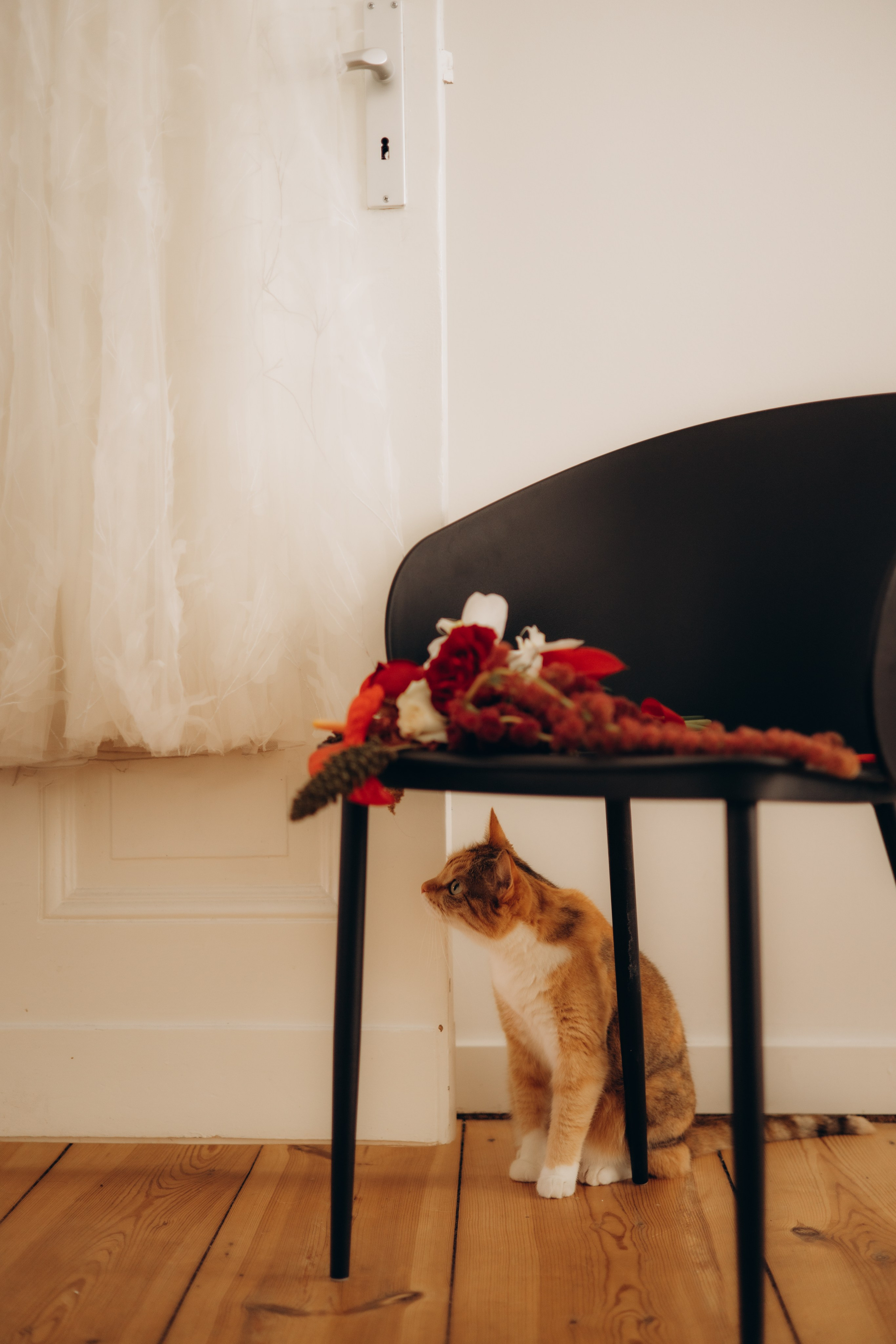 D & S. Фотограф в Берлине — Фотограф Берлин — Photographer in Berlin