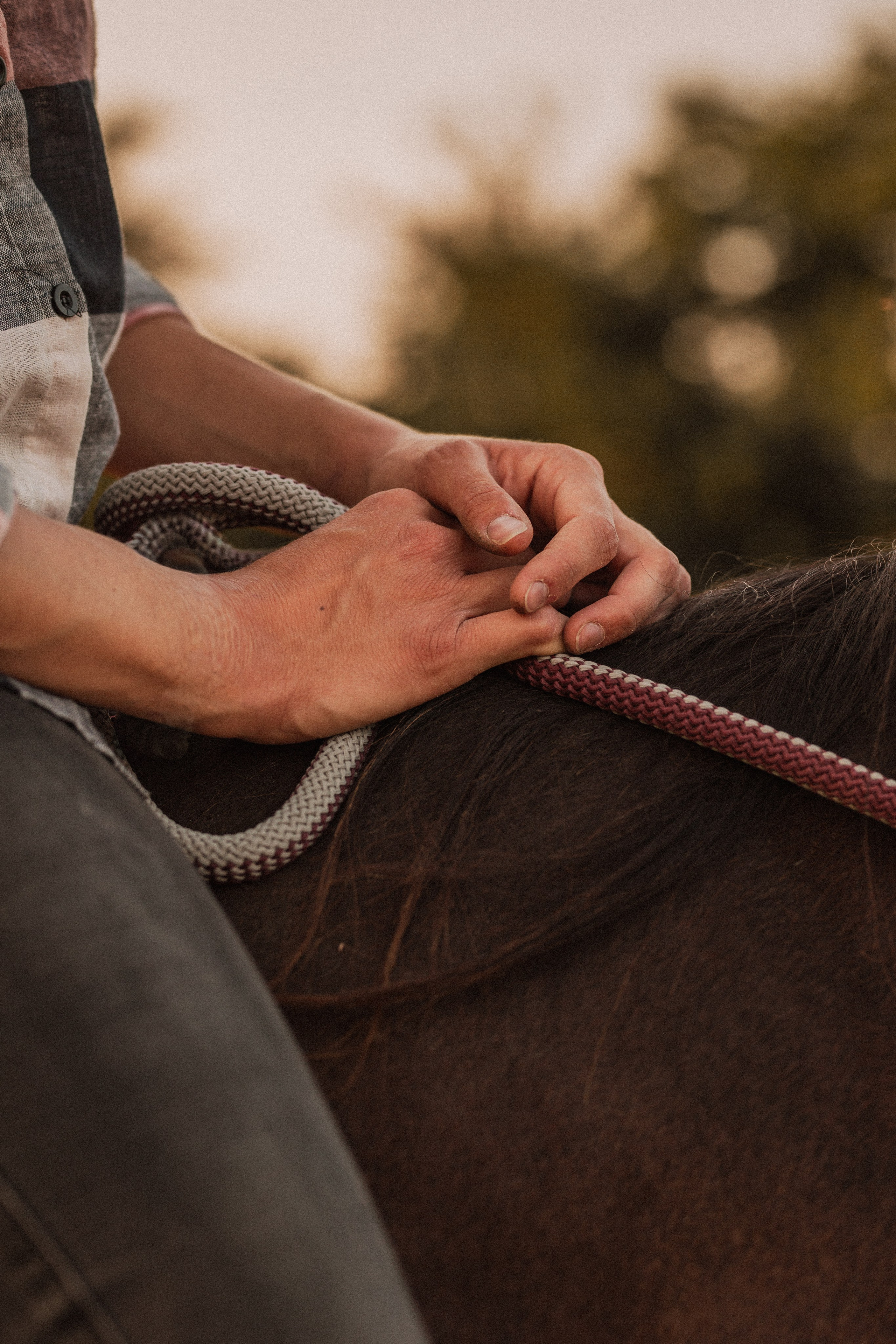 Annah Louwagie — Lifestyle photographer for couples, families & brands | France & worldwide