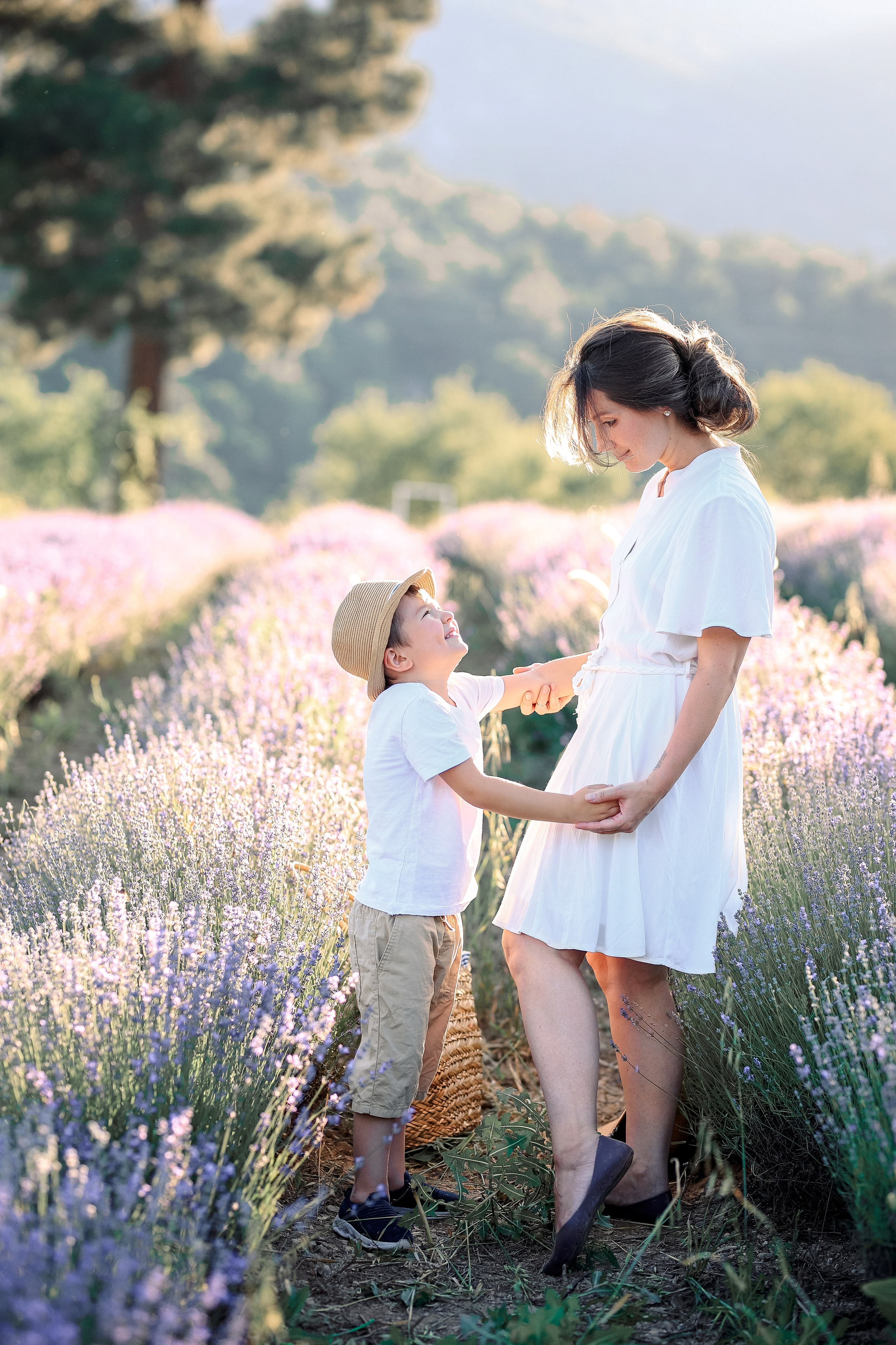 Lavender in Antalya. Photographer in Turkey, Antalya, Kemer, Belek, Side, Kas, Fethiye