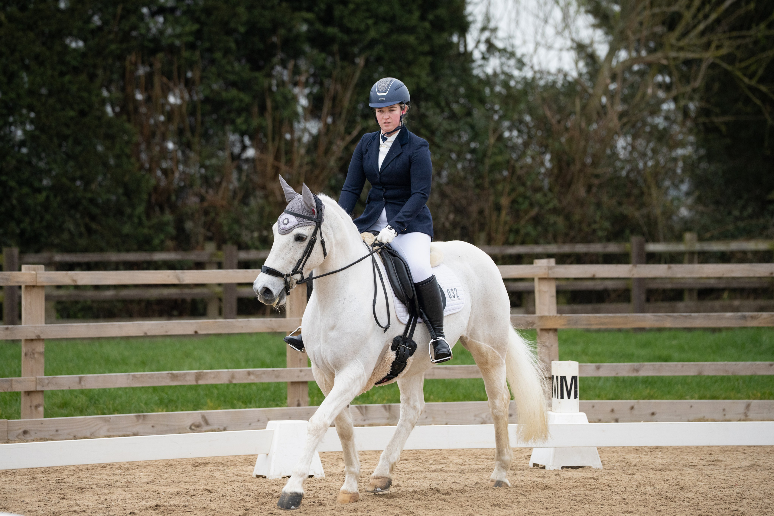 Dressage. Leicestershire Equine Photography by El | Authentic Equine Portraits & Events