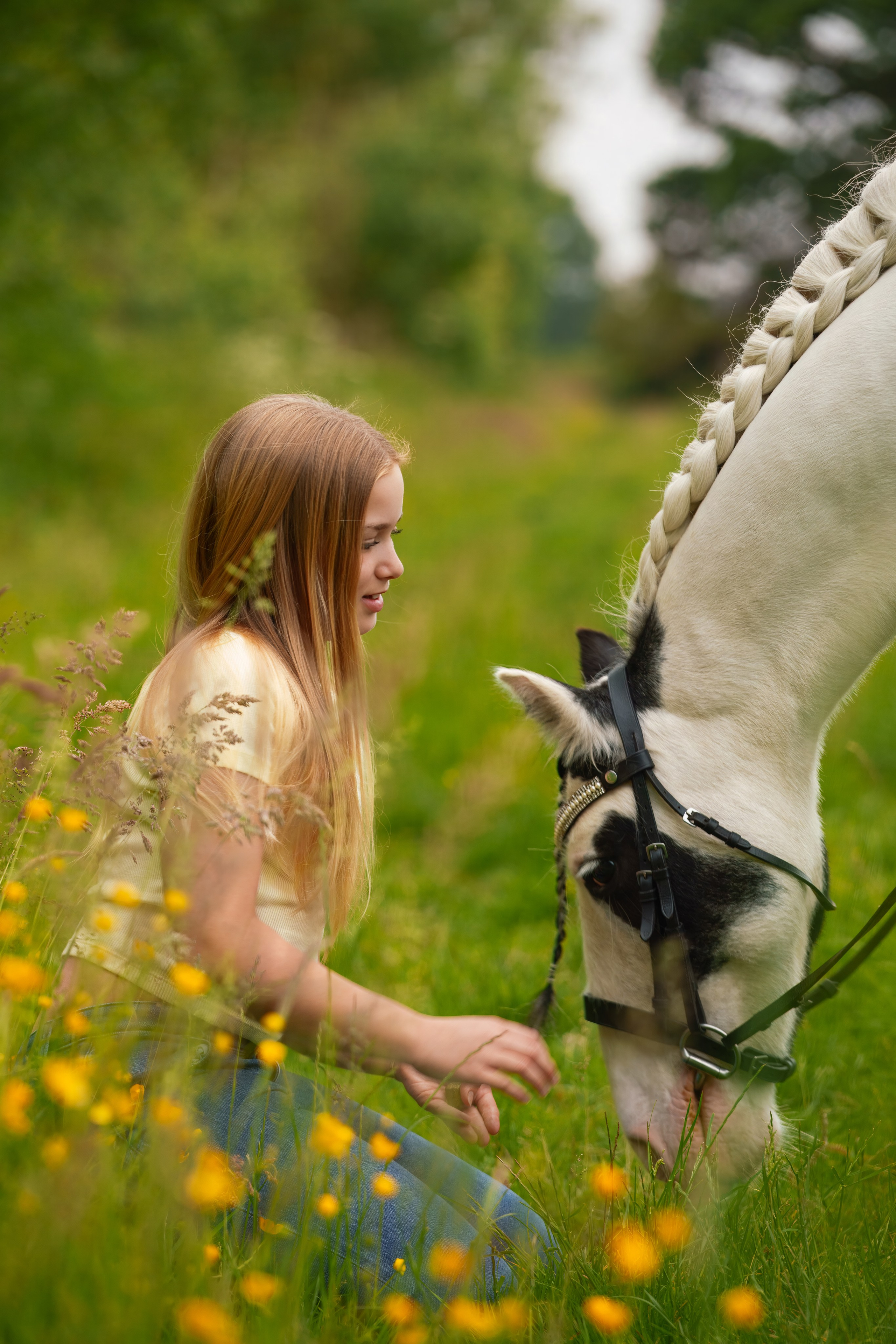 Equine Photography Portfolio | Leicestershire Horse Portrait Photographer. Leicestershire Equine Photography by El | Authentic Equine Portraits & Events