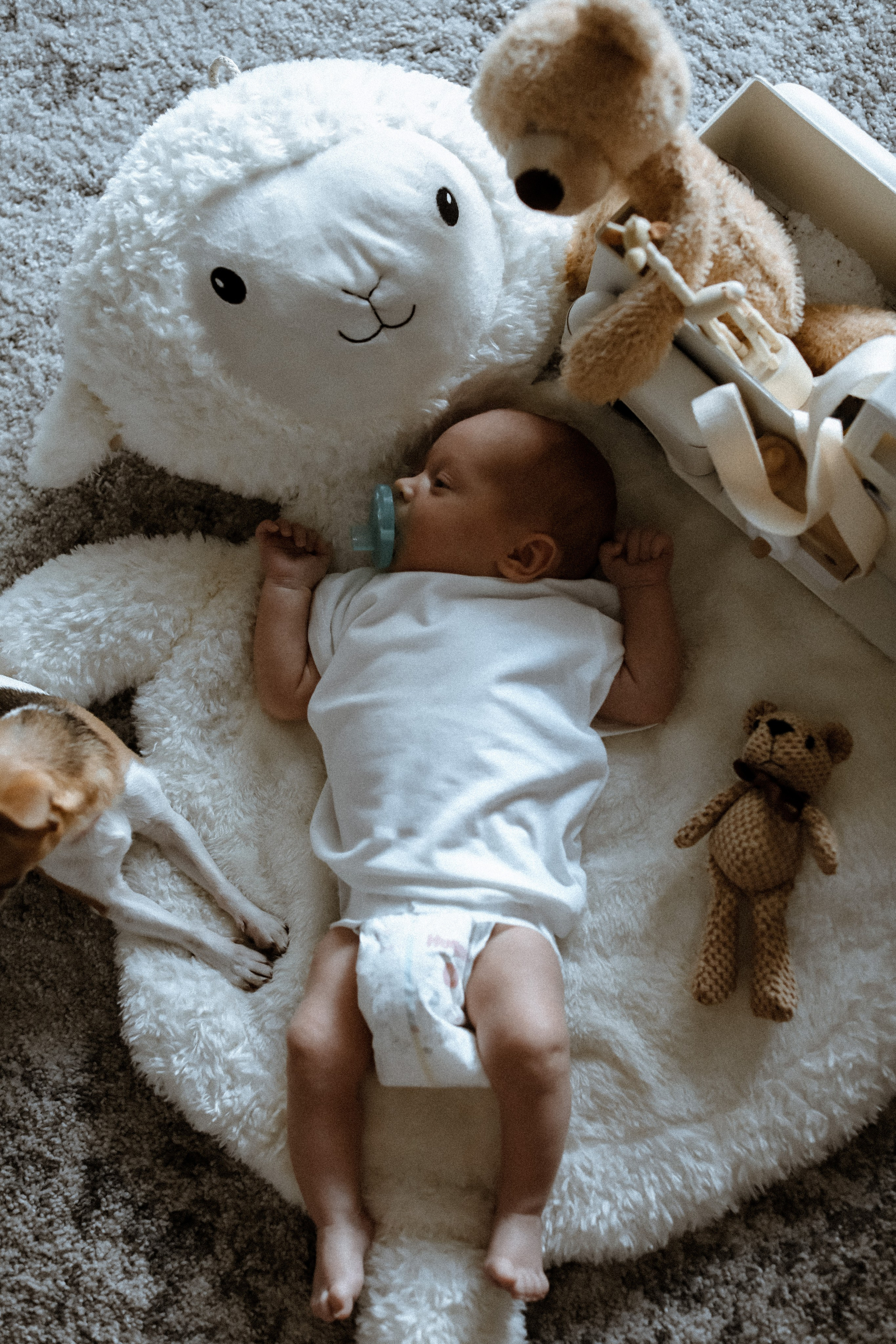 Newborn. Photographer in Miami, Family photographer, Event, Wedding