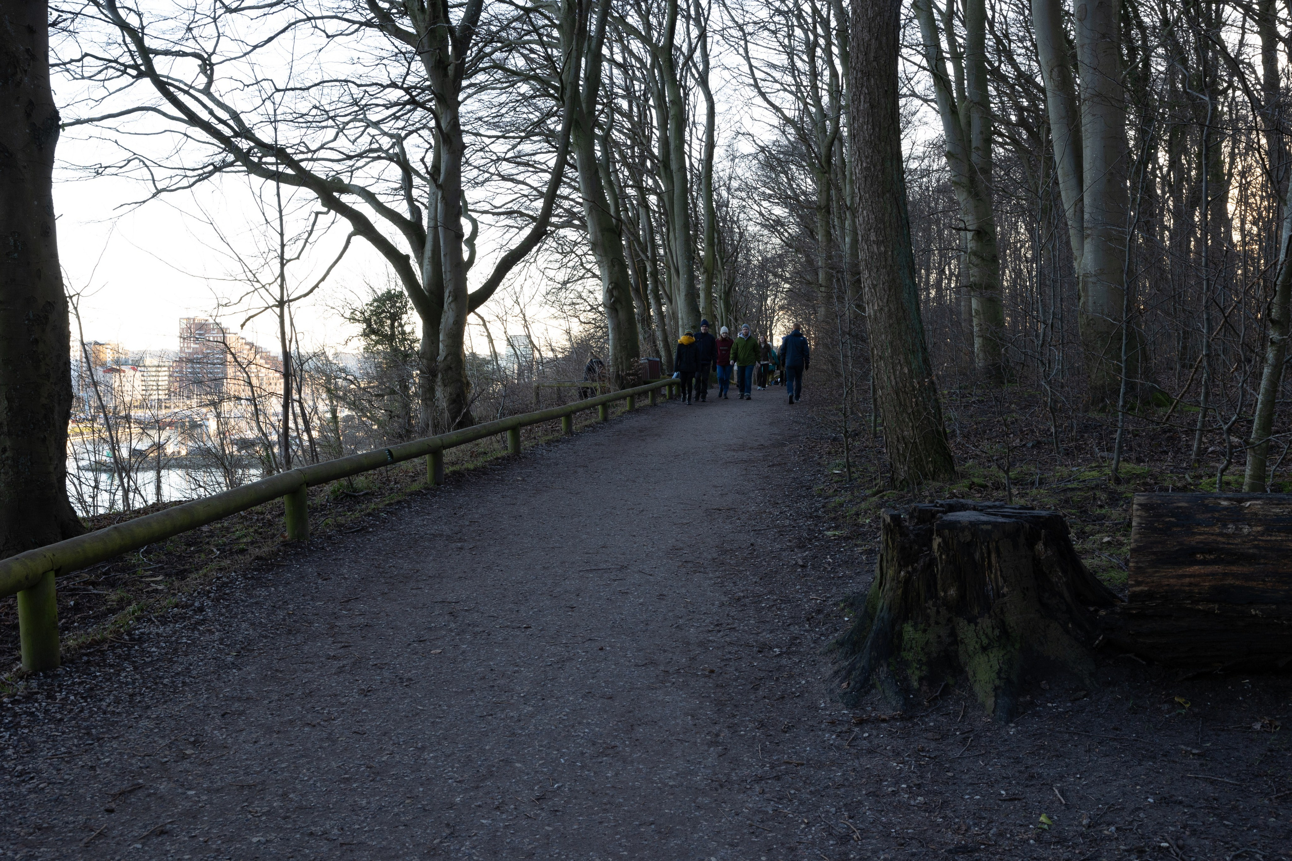 Forår. Fotograf Aarhus | Portrætfoto Århus | Flotte billeder