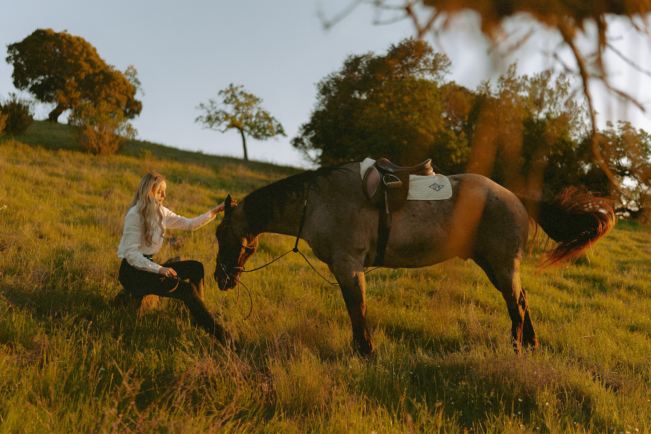 Engagement with Horses, Napa, Northern California. Wedding Photography & Videography Team in California, Los Angeles, San Francisco, San Diego and Travel