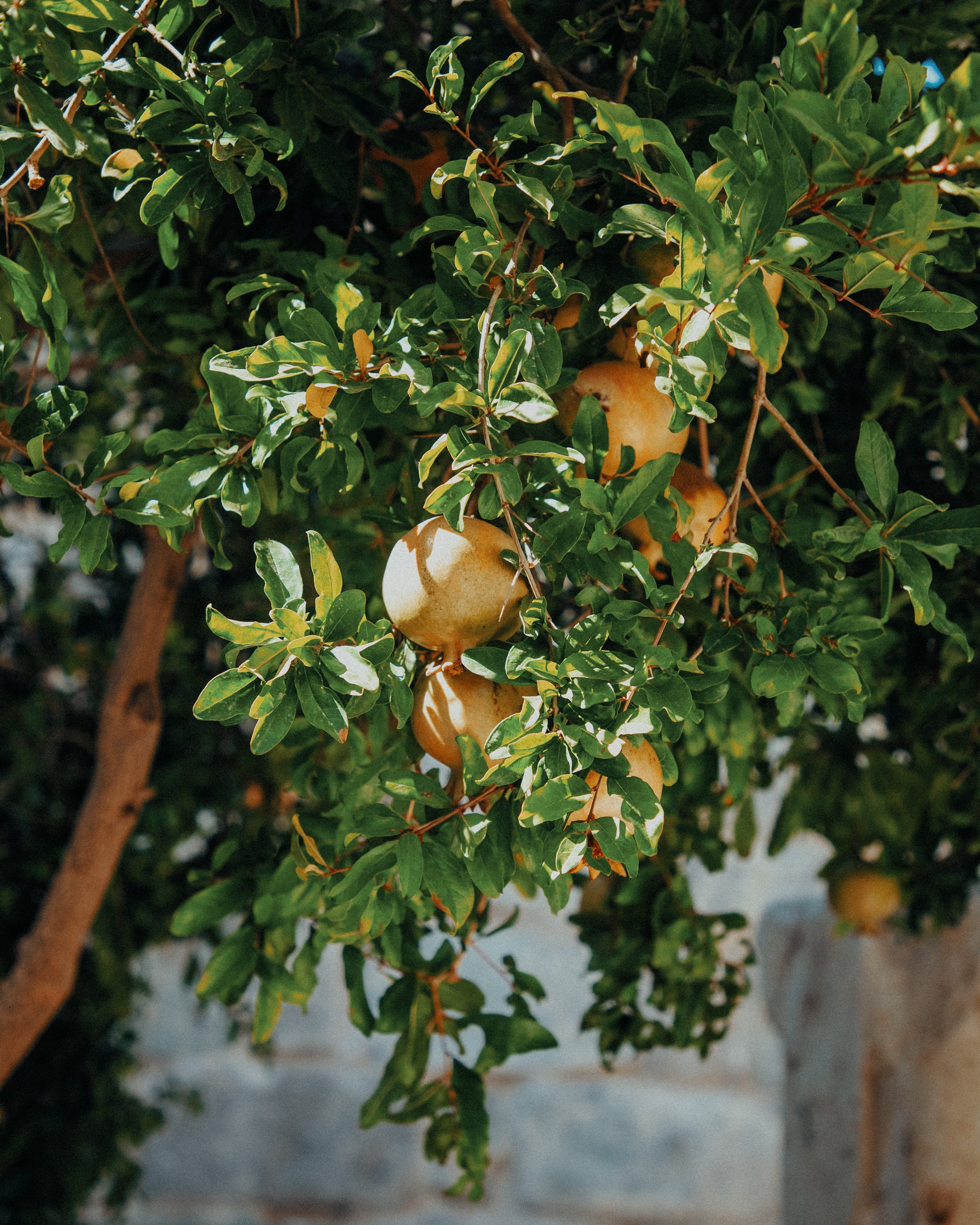 Travel & Street. Mario Jelikic Photography