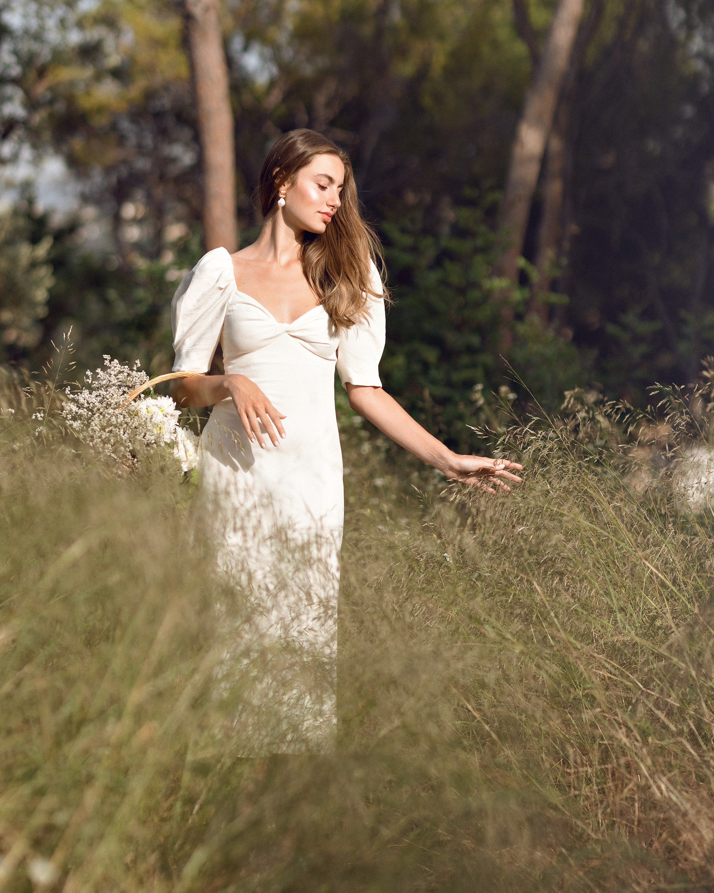 Diana Olive Tree. Dana