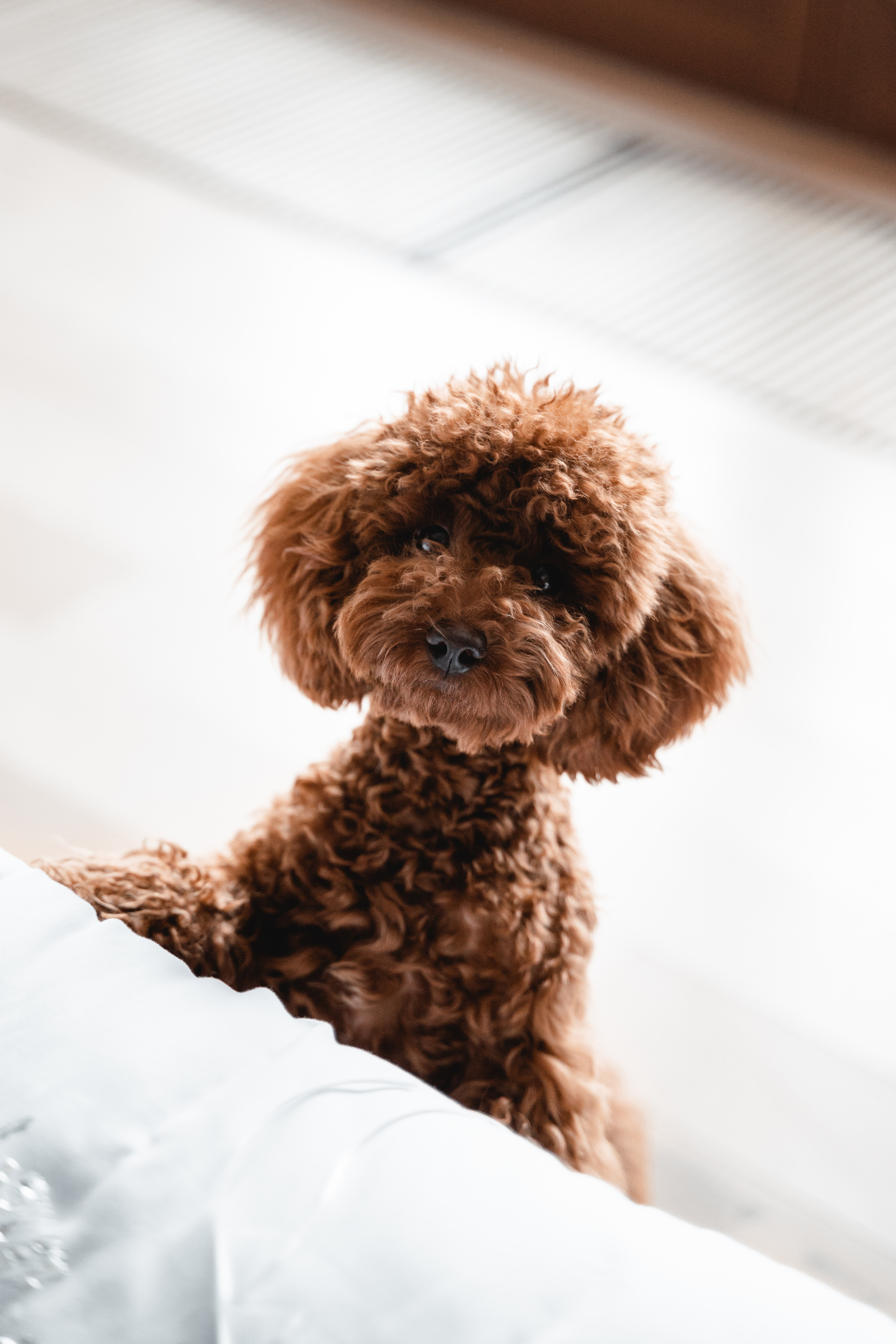 Valentina & Aleksei. Photographer in Dubai. Фотограф Дубай