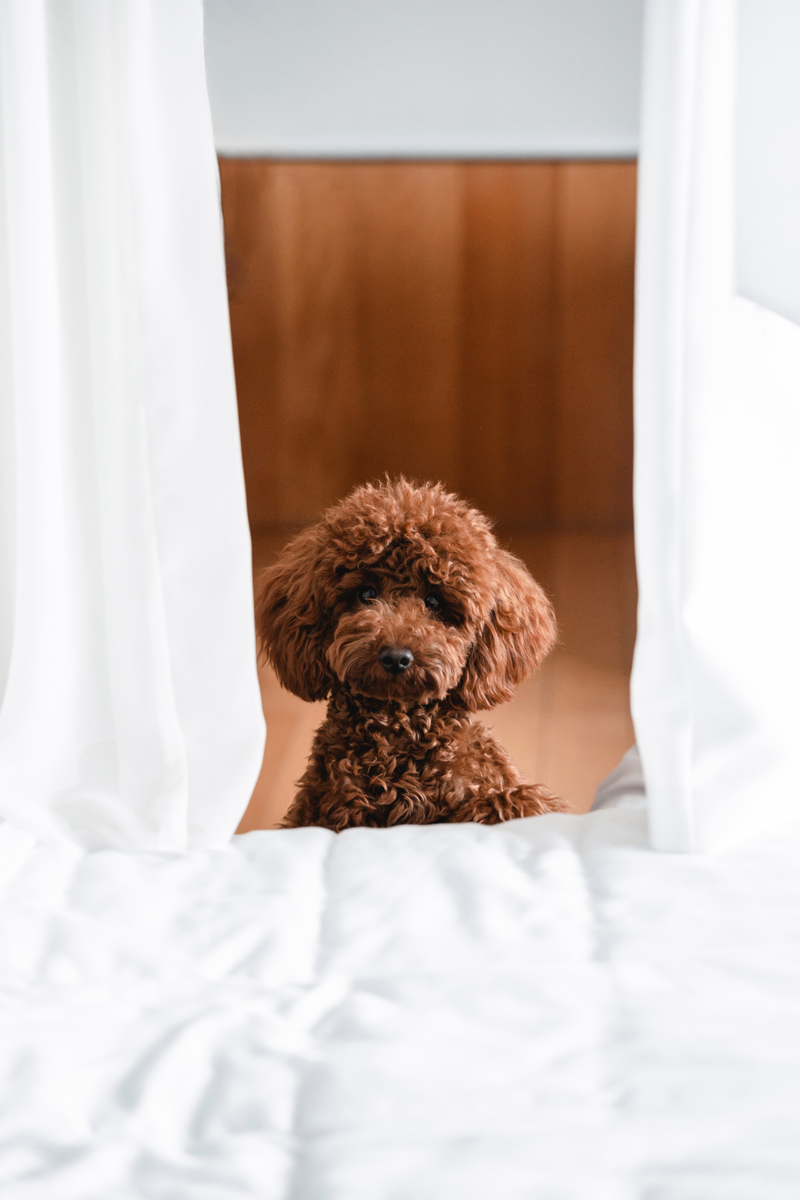 Valentina & Aleksei. Photographer in Dubai. Фотограф Дубай