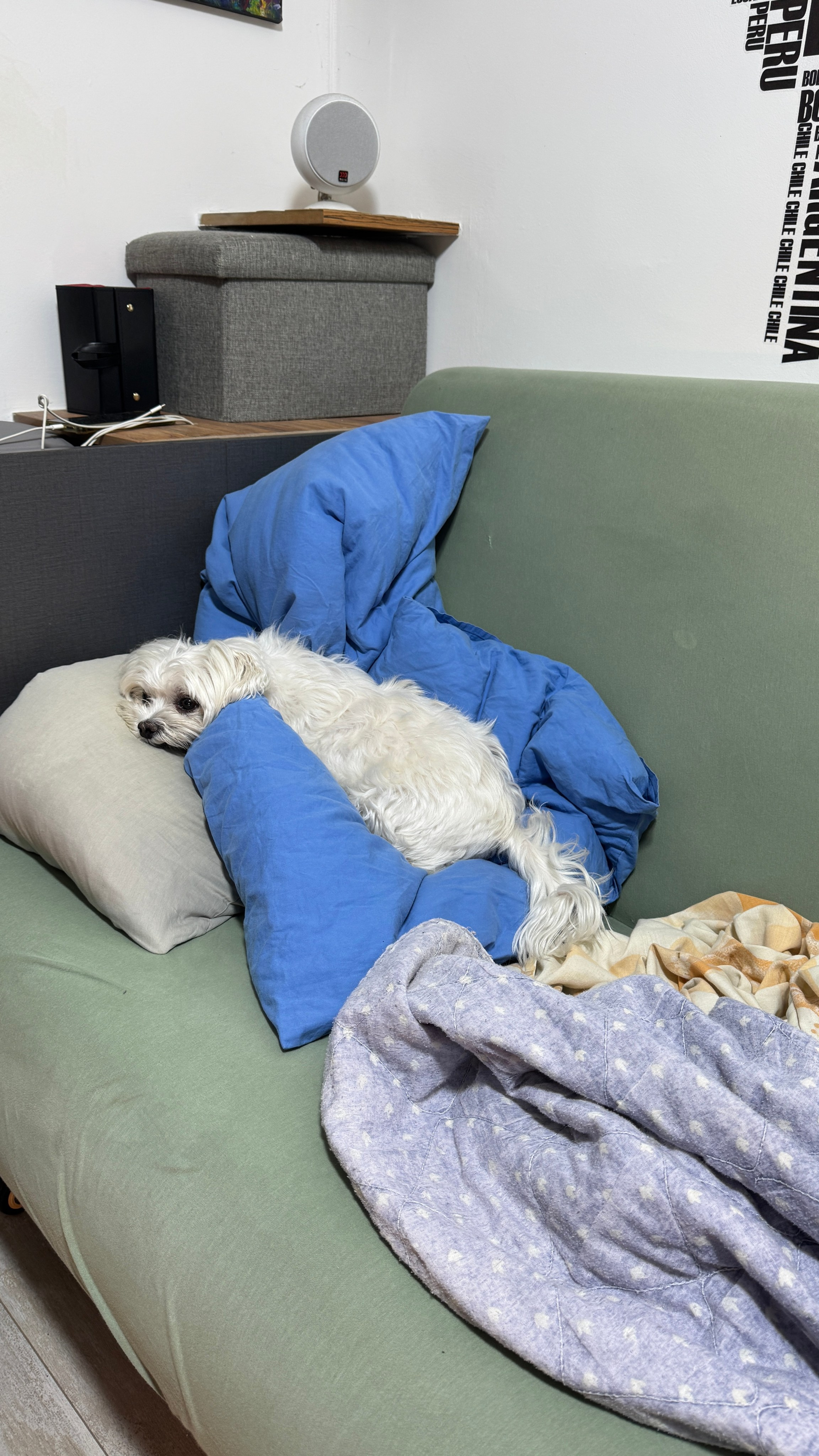 Everything from everything