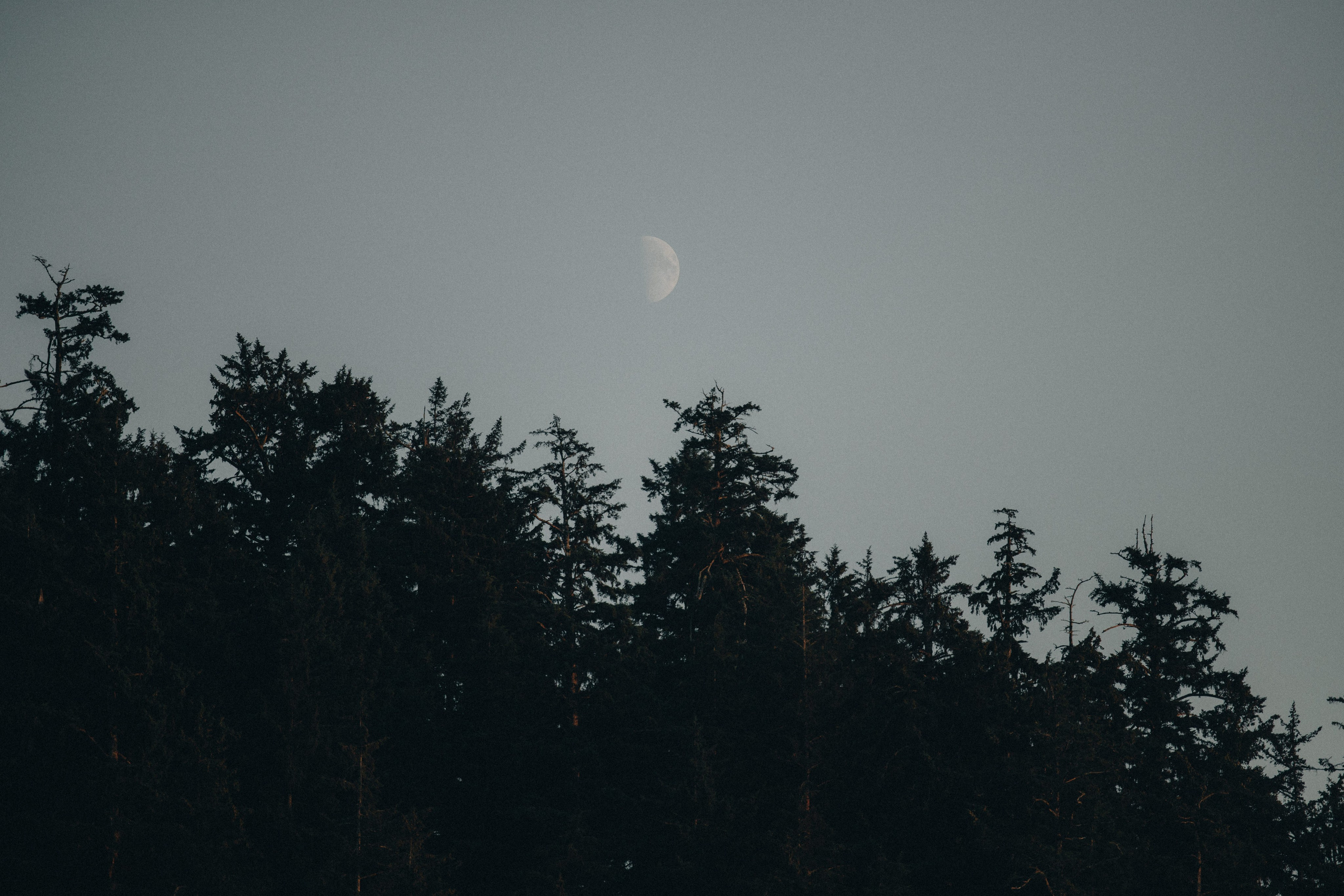 Engagement Photography at Cannon Beach | Jessie & Isaac's Session by Georgy Shishkin | Capturing Moments in Portland, Seattle, Bend & Oregon. Capturing Love in the Heart of the Pacific Northwes