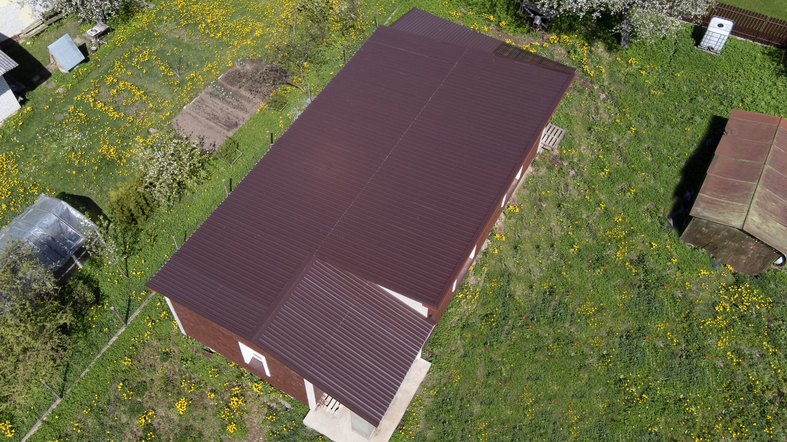 Kelmijos sodų 10-oji. Elina Sapiega fotografė Vilniuje