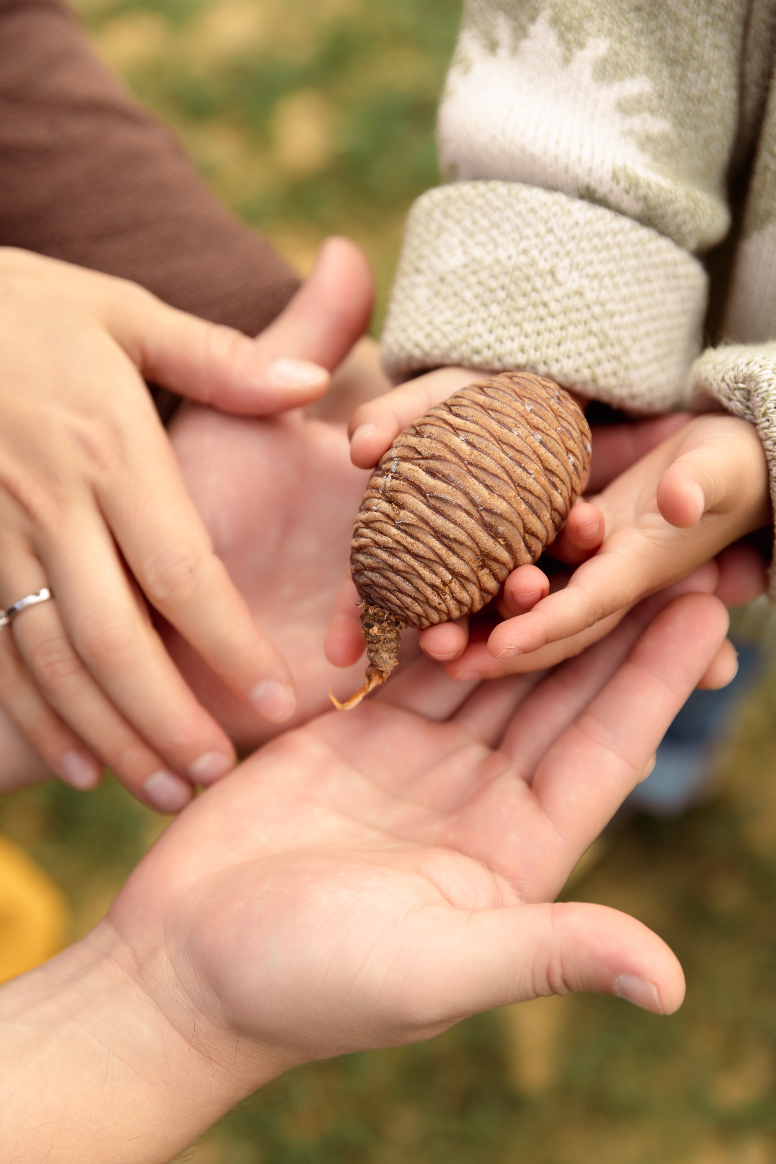 Family walk in Kew Gardens. Daria V. Photography