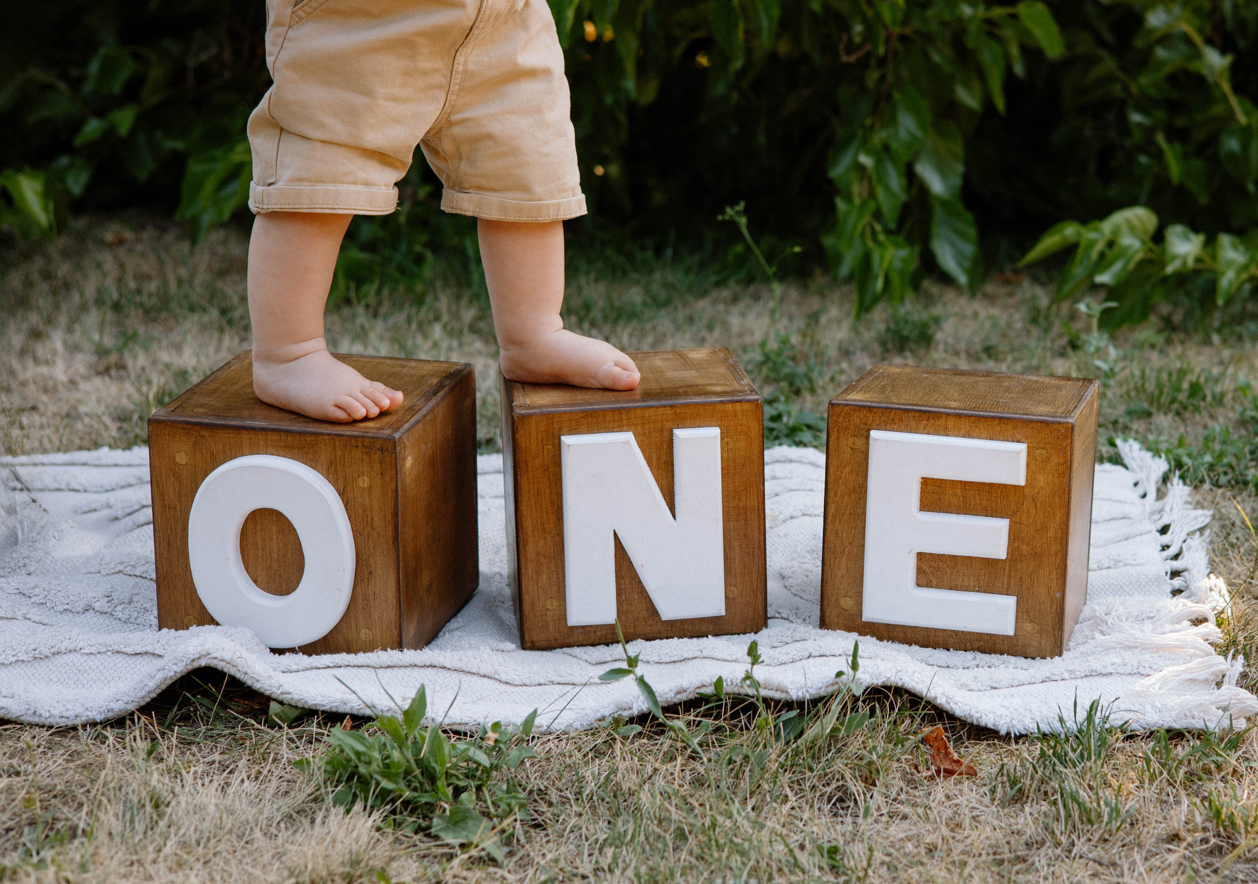 Smash Cake Photography. Family and Wedding Photographer