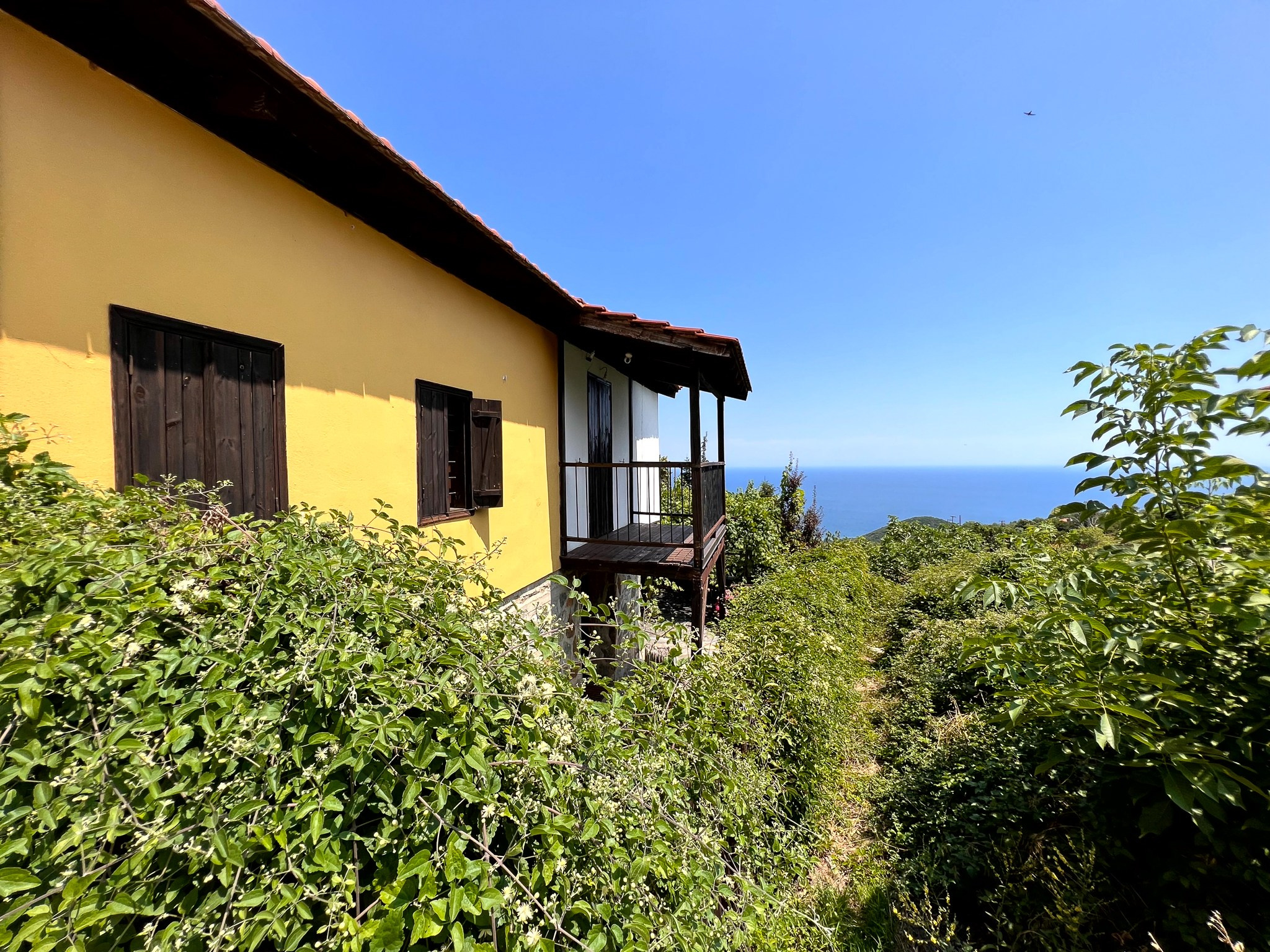 Fotografie urbana. Daniel Criste Fotograf