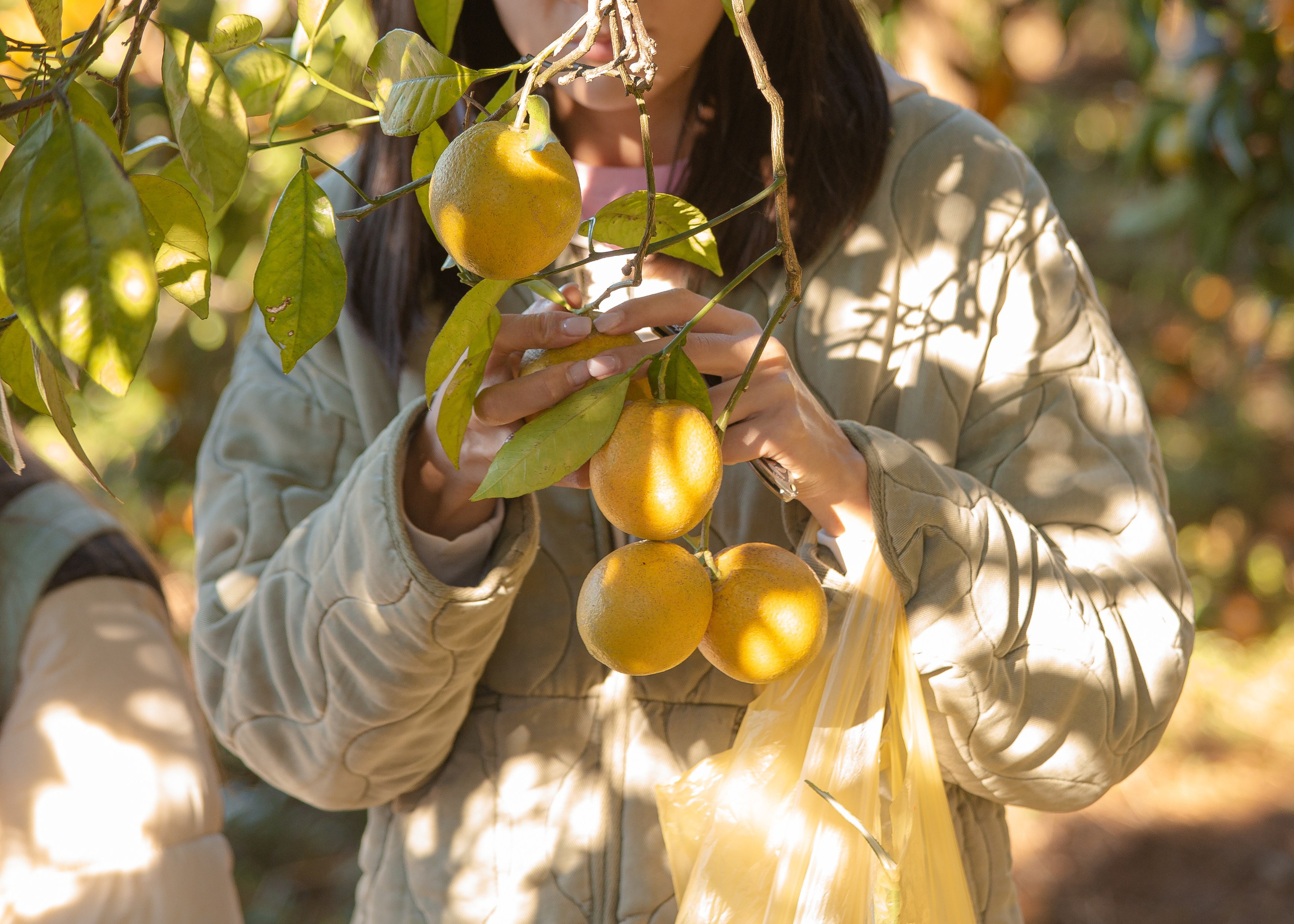 Event. PHOTOSTORYNIKA