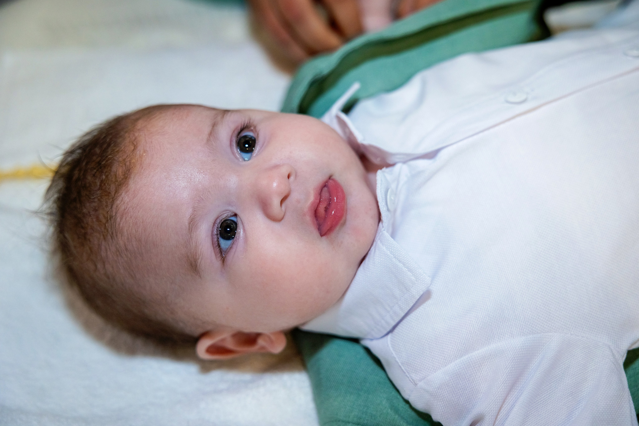 Andrei Damian. Moments By Gub