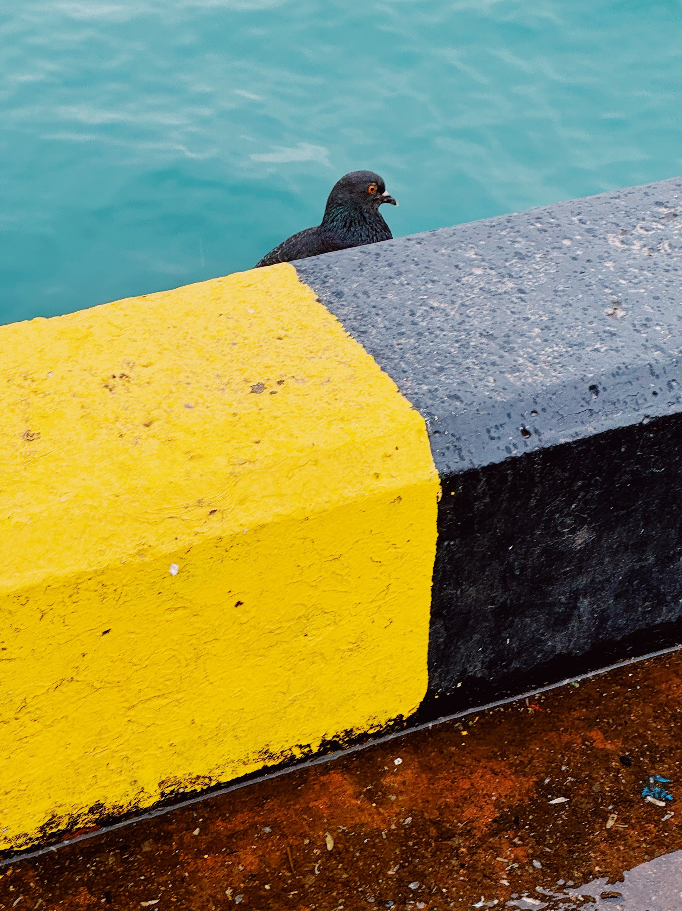 Работы Марии Шер. Sher.SCHOOL