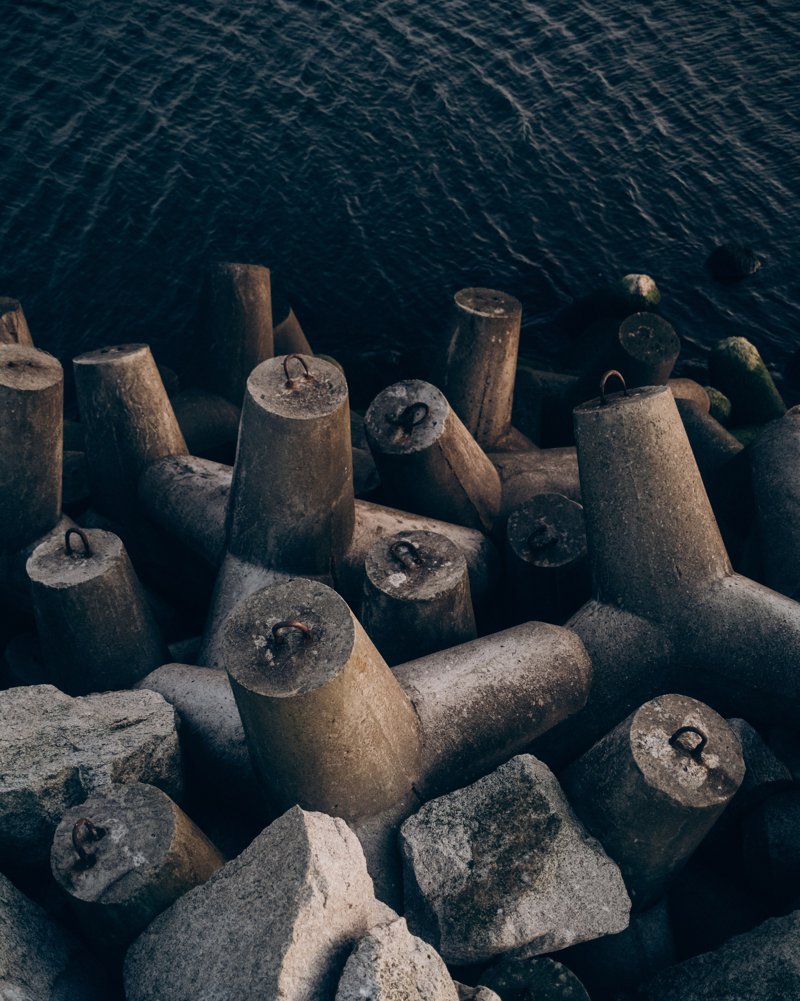 Roaming. Mike Avelli