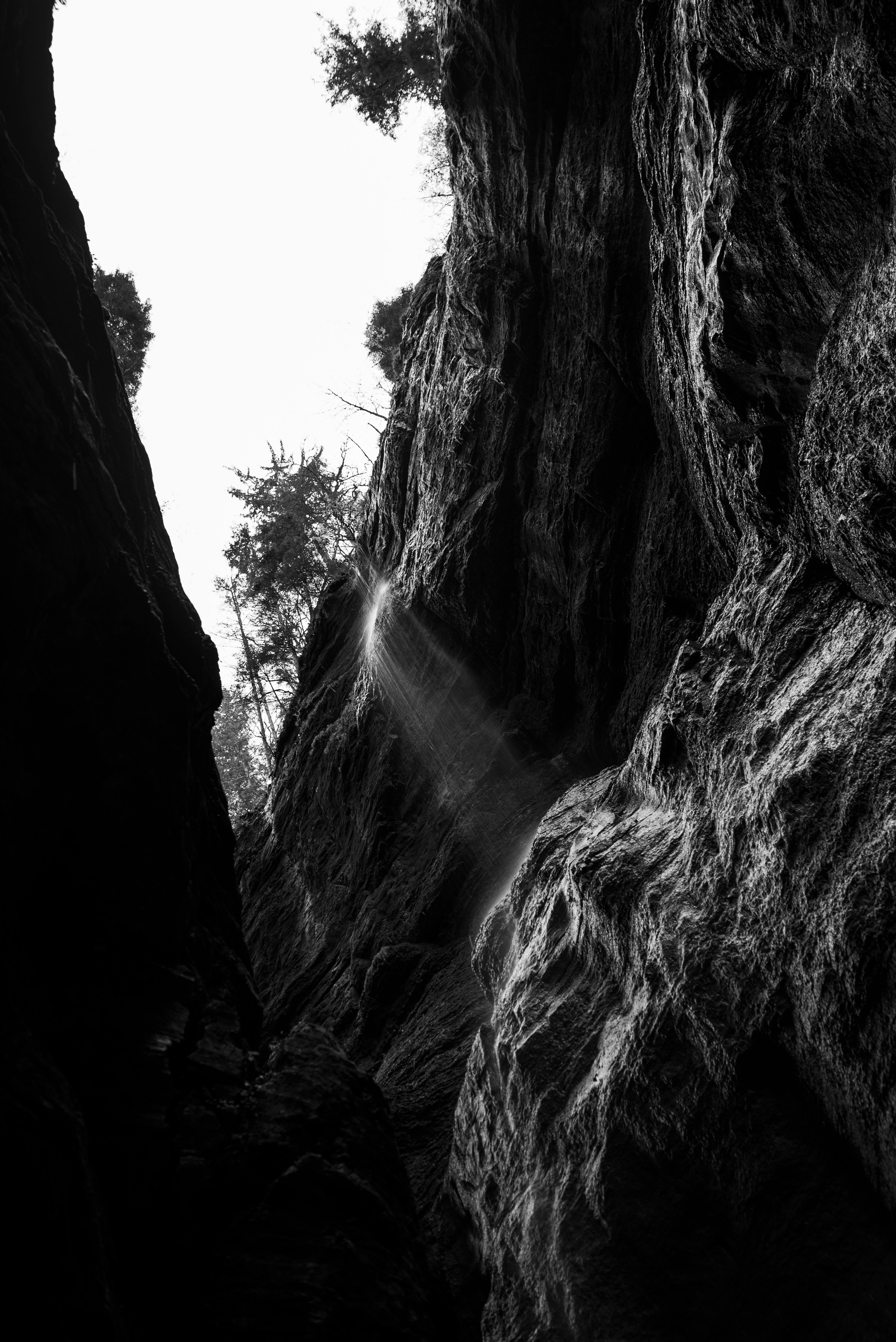 ЕВРОТУР. Стрит-фотография, полная абсурда, идиотизма и красоты