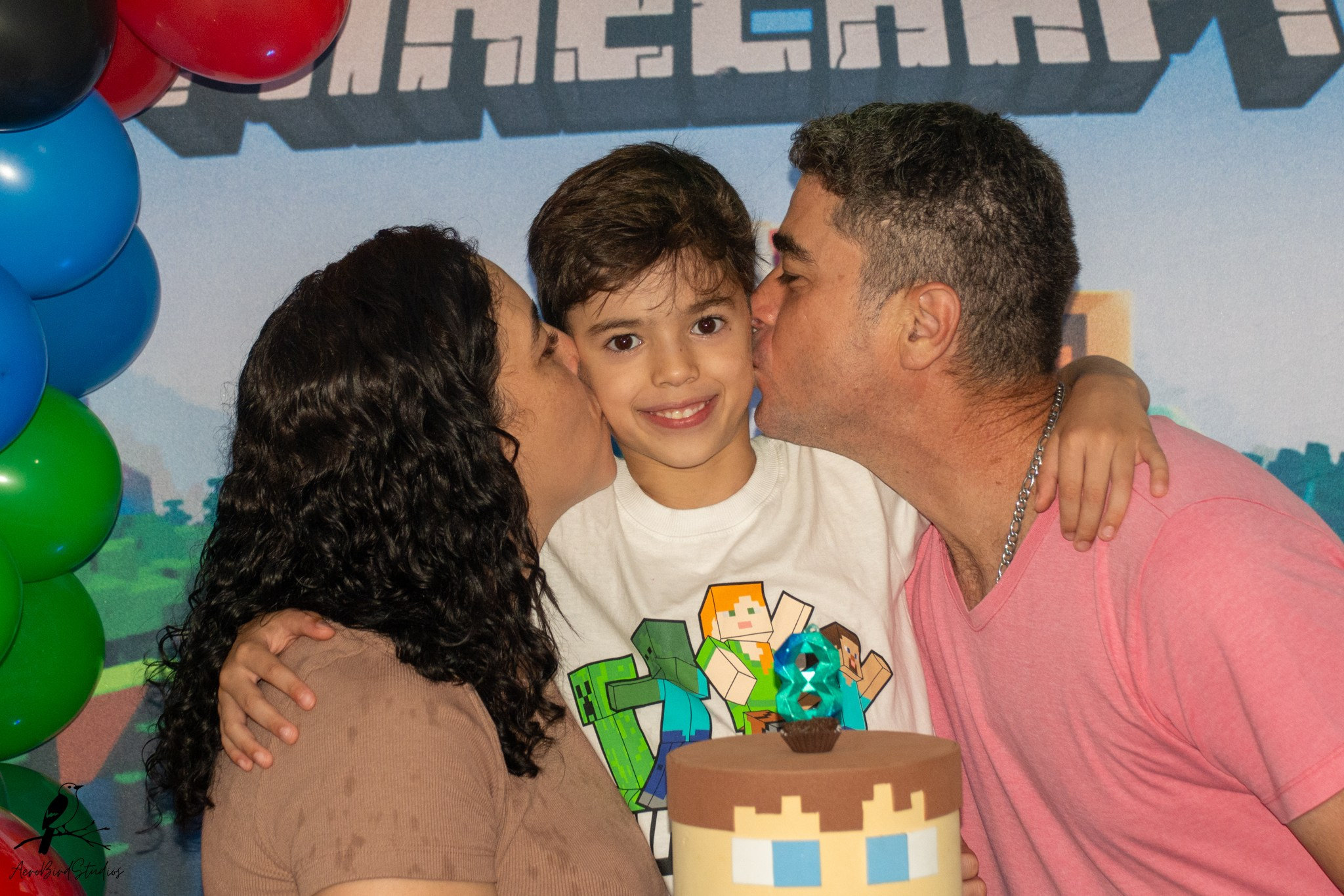 Leonardo 8 ano. AerobirdStudios
