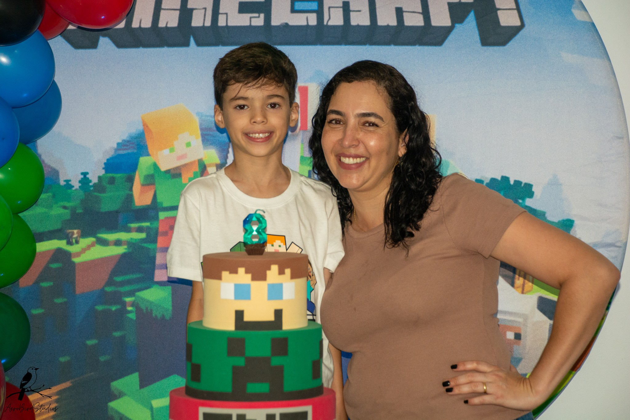 Leonardo 8 ano. AerobirdStudios