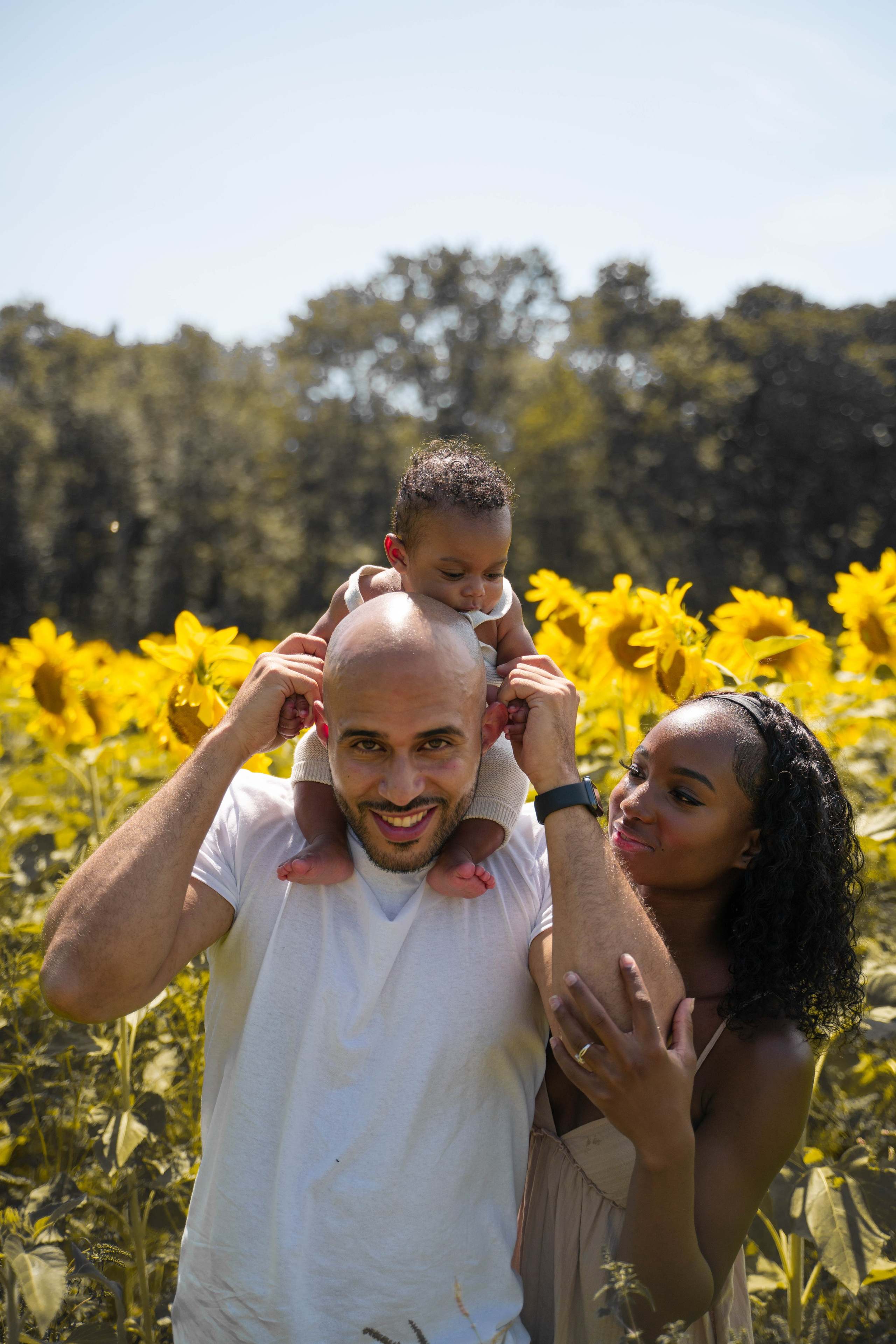 Jennifer and Louis at Sunflowers Farm. Stefanovich Photography | Boston, MA