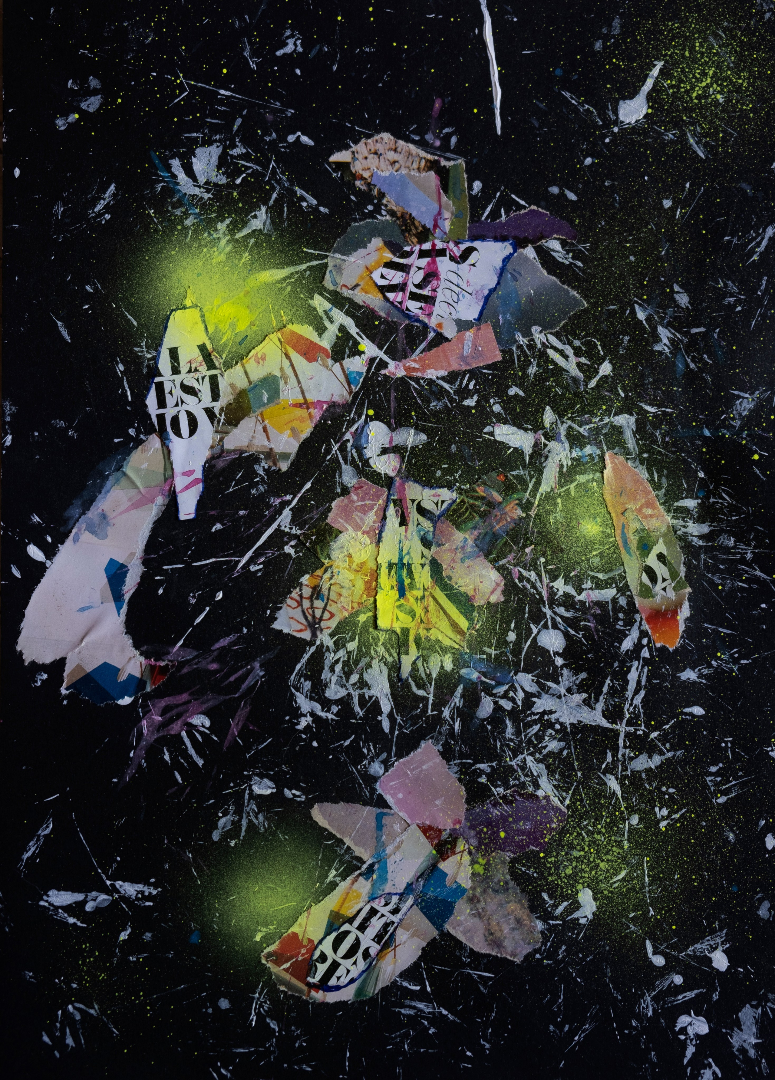 Рина Луковникова. Художник-коллажист