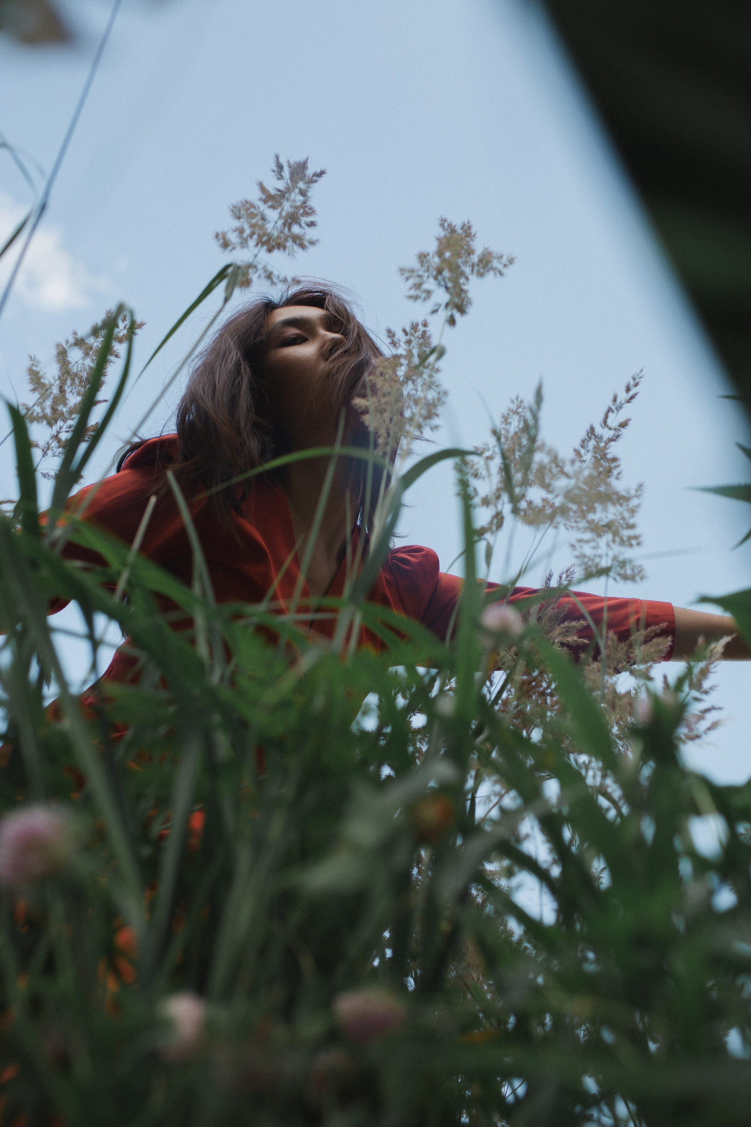 Aijan. Forest. Photographer Vladmir Gladkov