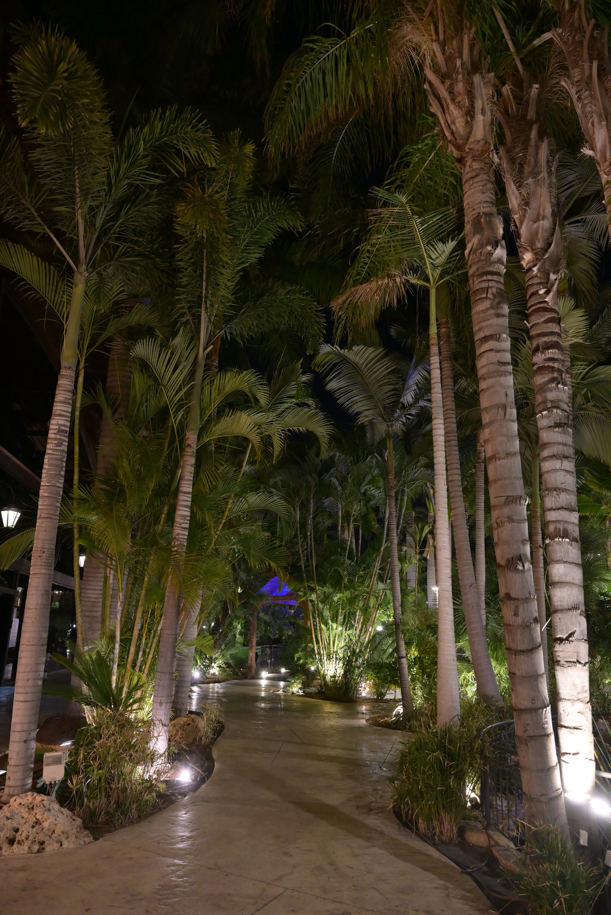 טרויה. Wedding and events photographers Studio Shalom