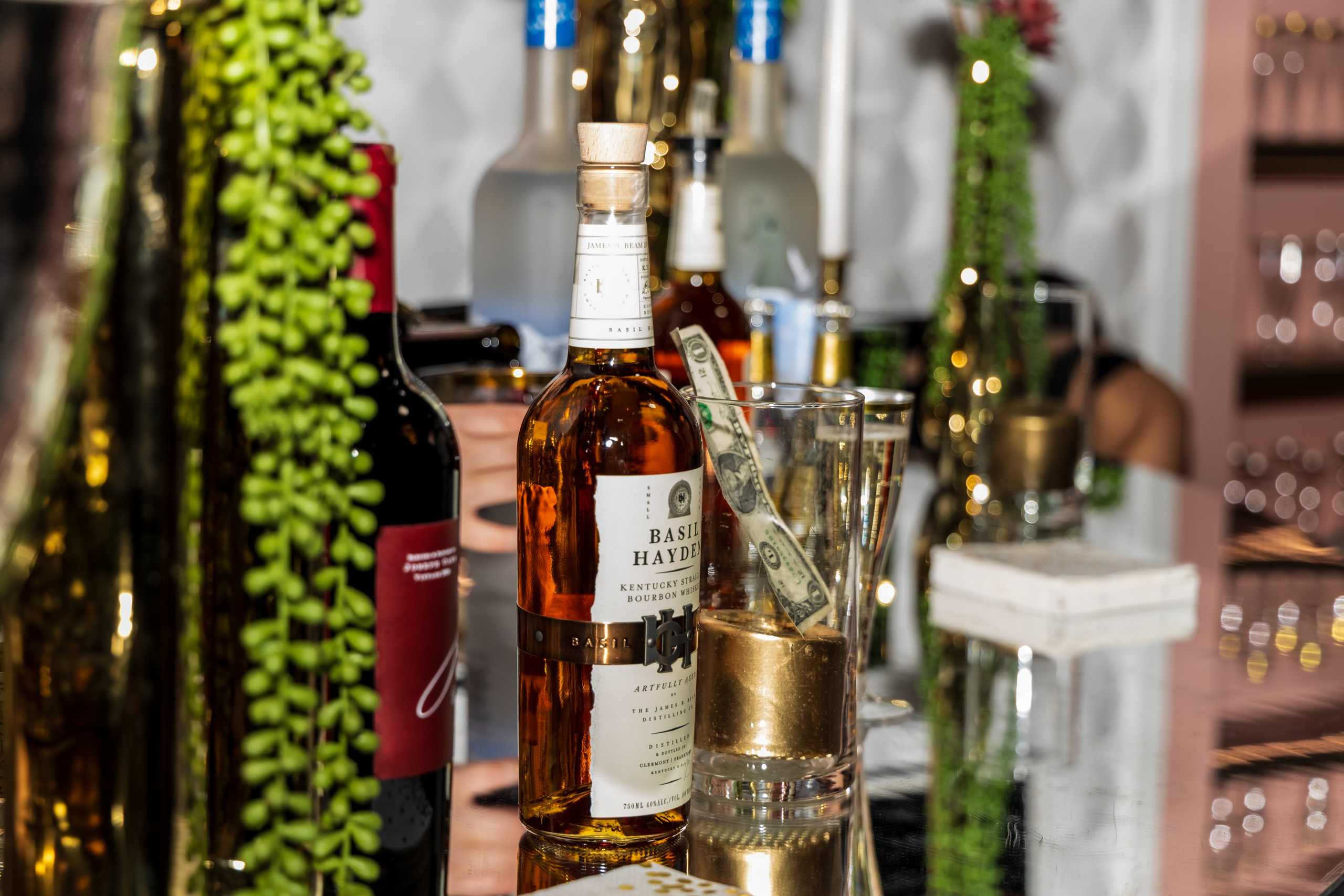 Dvida Grand Opening Med Spa