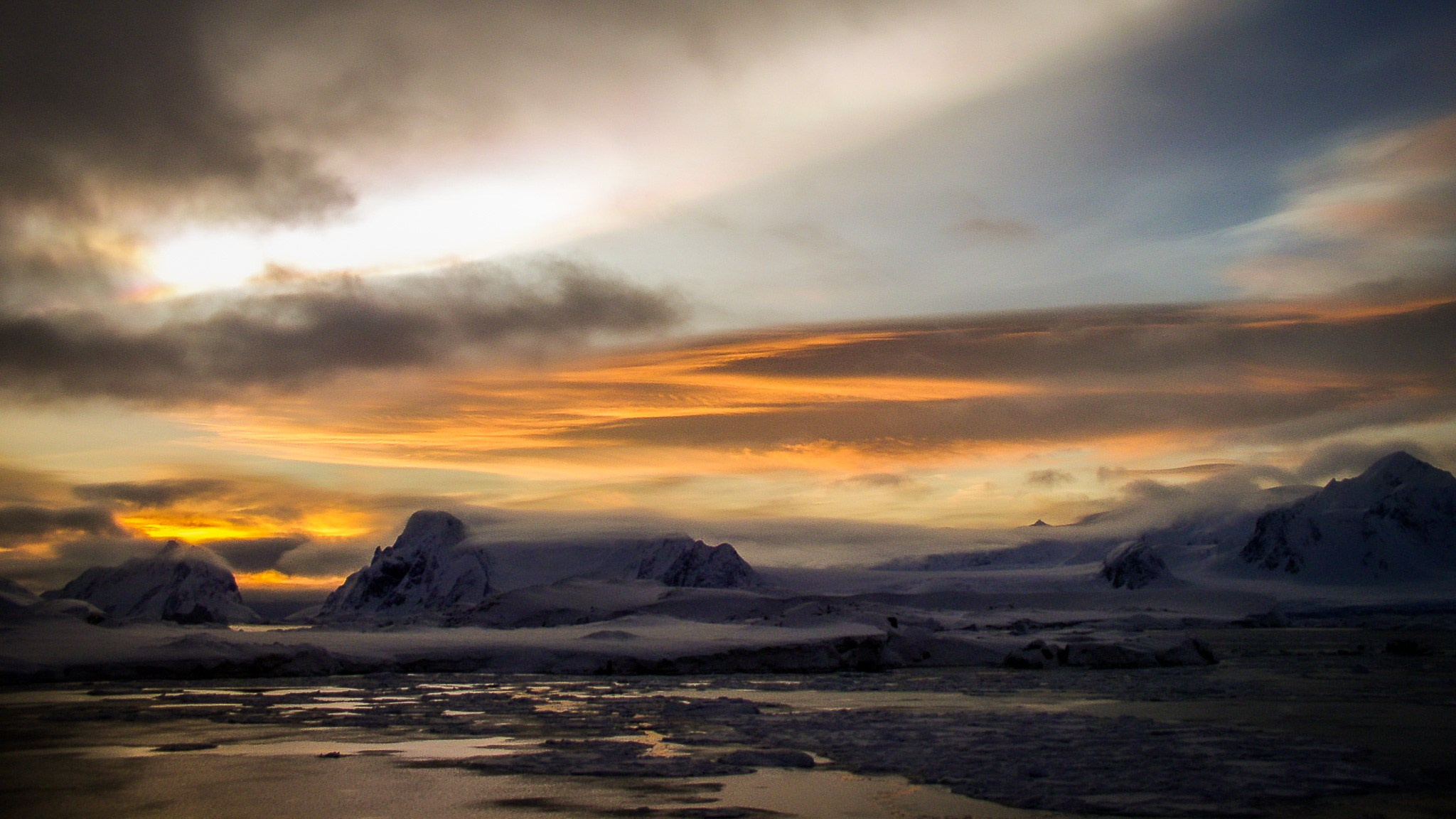 ANTARCTICA / 2004. Reportage concert portrait photography in the San Francisco Bay Area