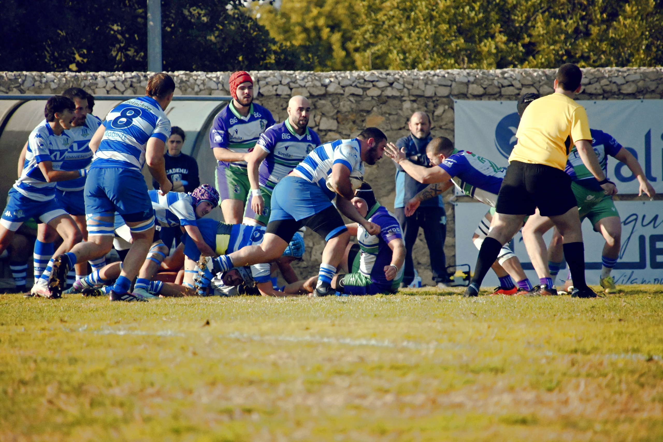 Ragby. Prime_Frame_Studio