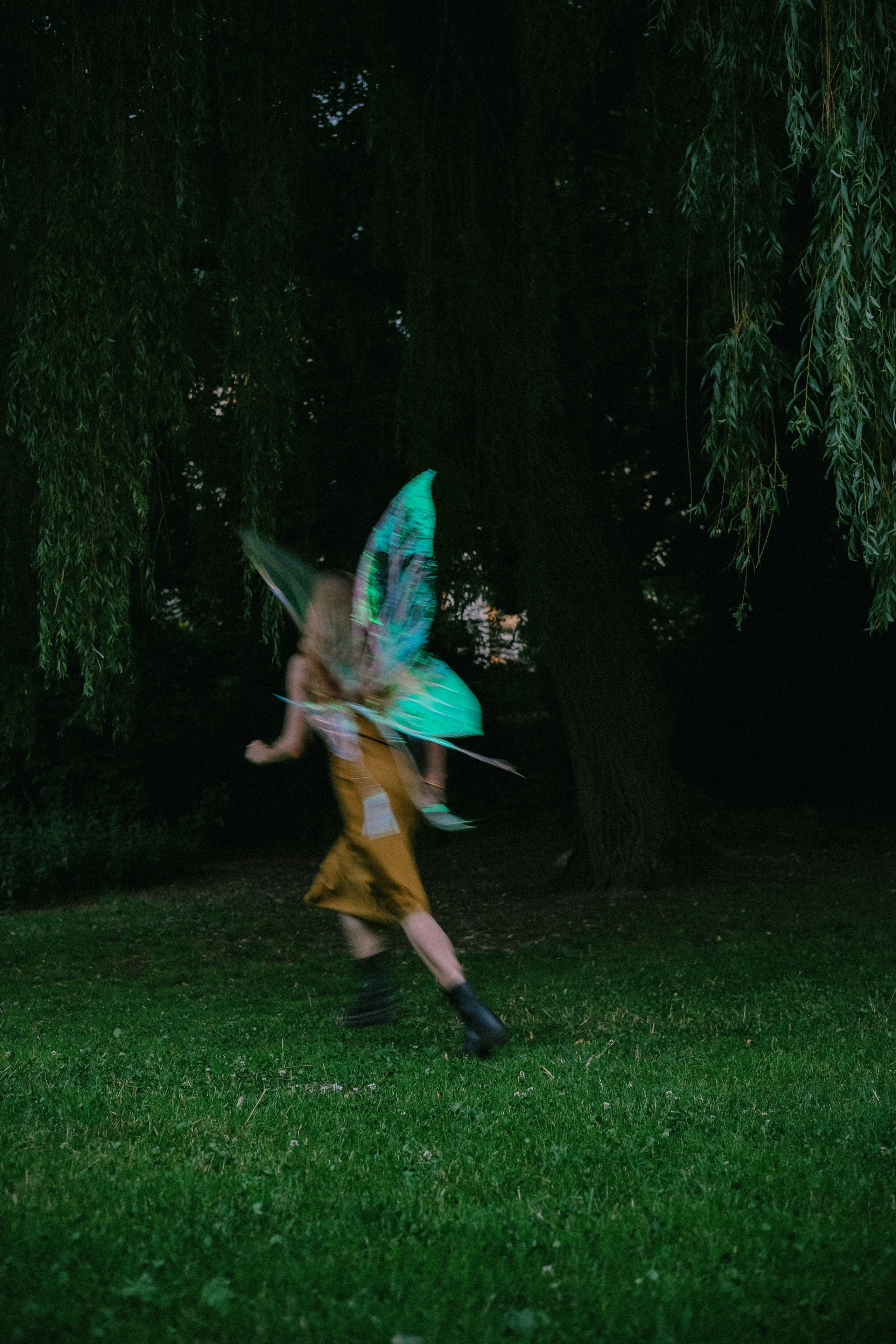 I saw a fairy. Alena Iatkina — Fine Art Photographer