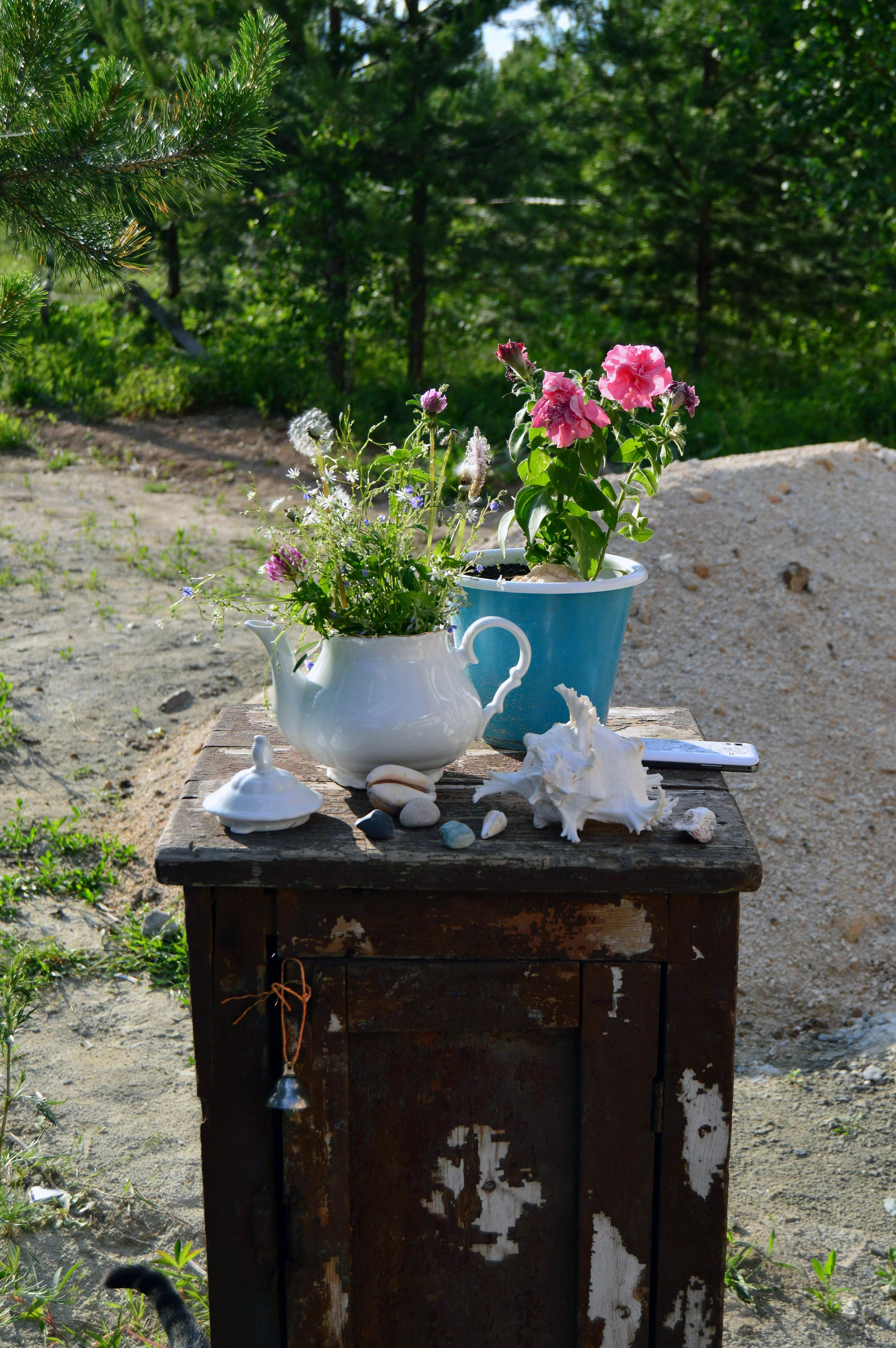 «White tiapot in the sunshine». Художник живописец Савелова Ольга