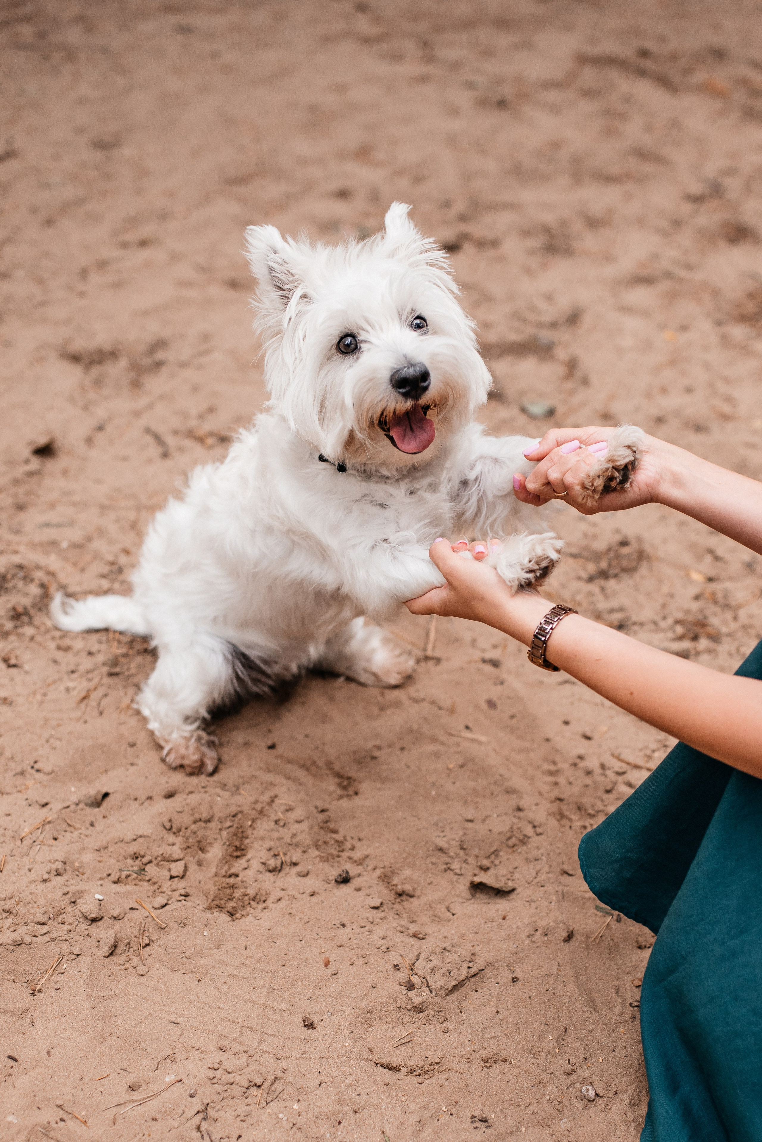 Олег+Ирена. Свадебный и портретный фотограф Юлия Пыльченко