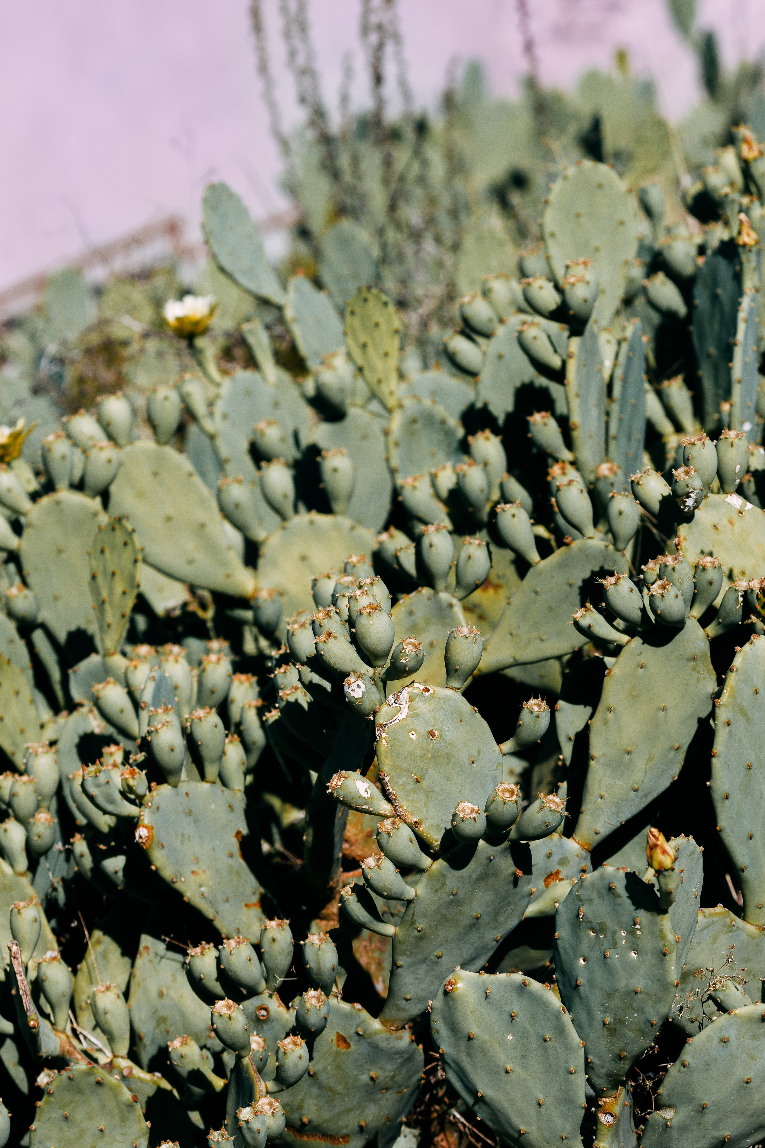 Love Kroatien. Professionele fotografin in Münsingen Olesia Wegele