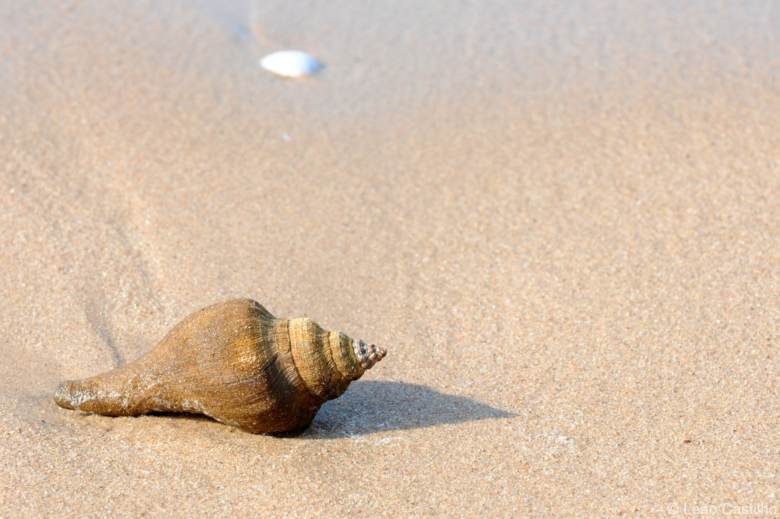 Photos from Angola. Simbahalu