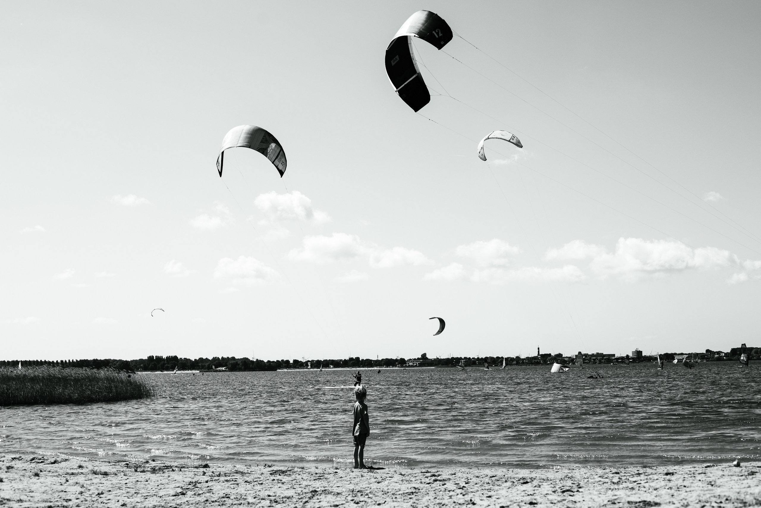 Kite. Family and Portraits photographer Diana Andoni