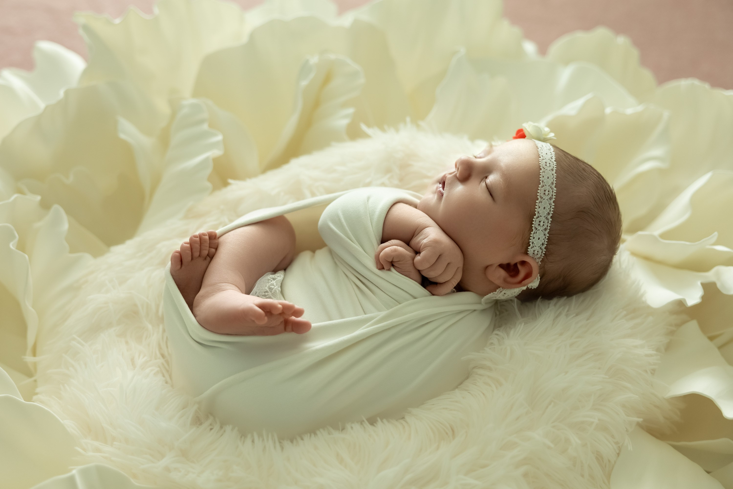 Newborn photos. Newborn photographer in Tampa Bay Area, FL