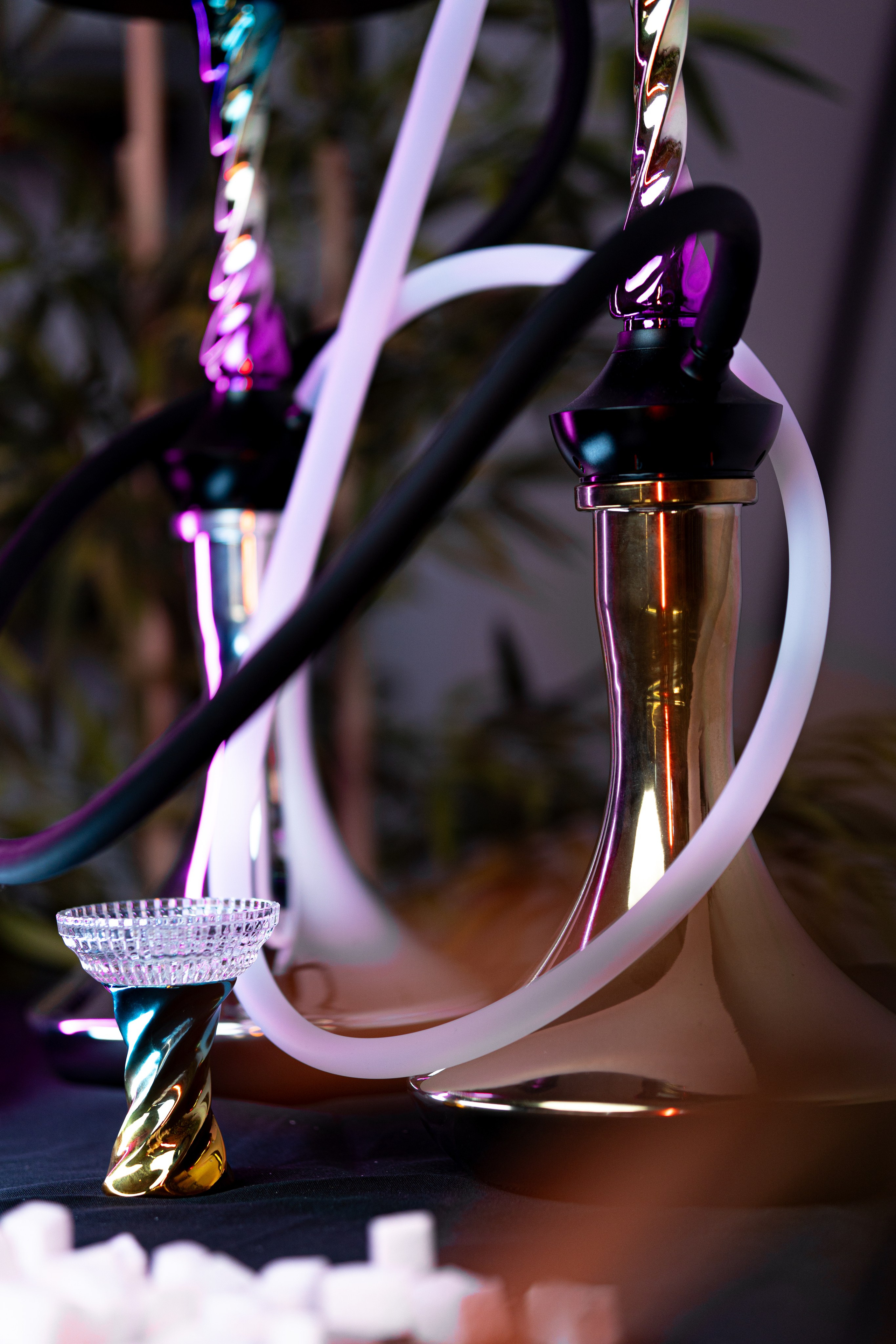 Cachimbas. Baby Beast