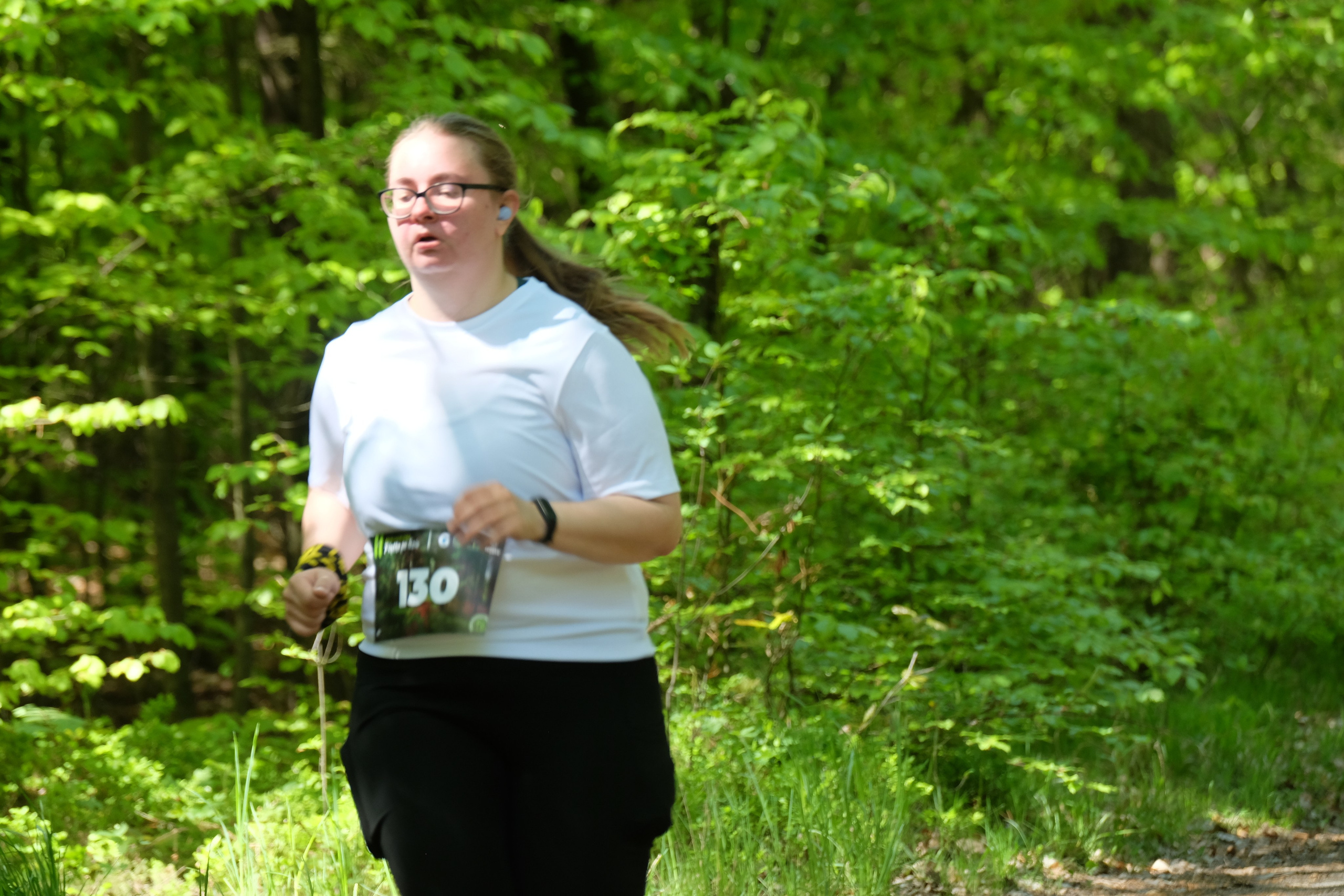 Aleksandryjska Piątka po lesie. Main