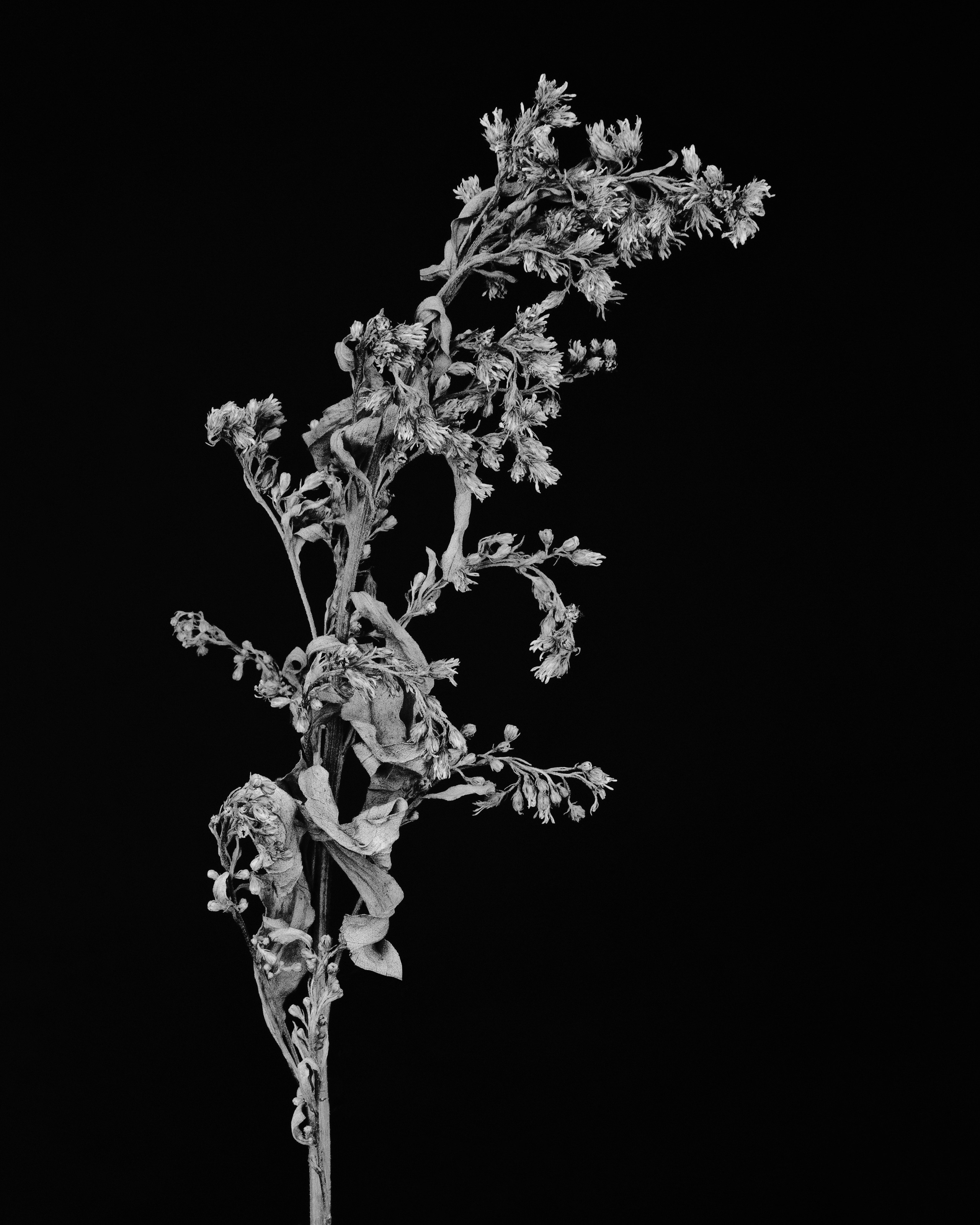 Abdrshin Valeriy photographer