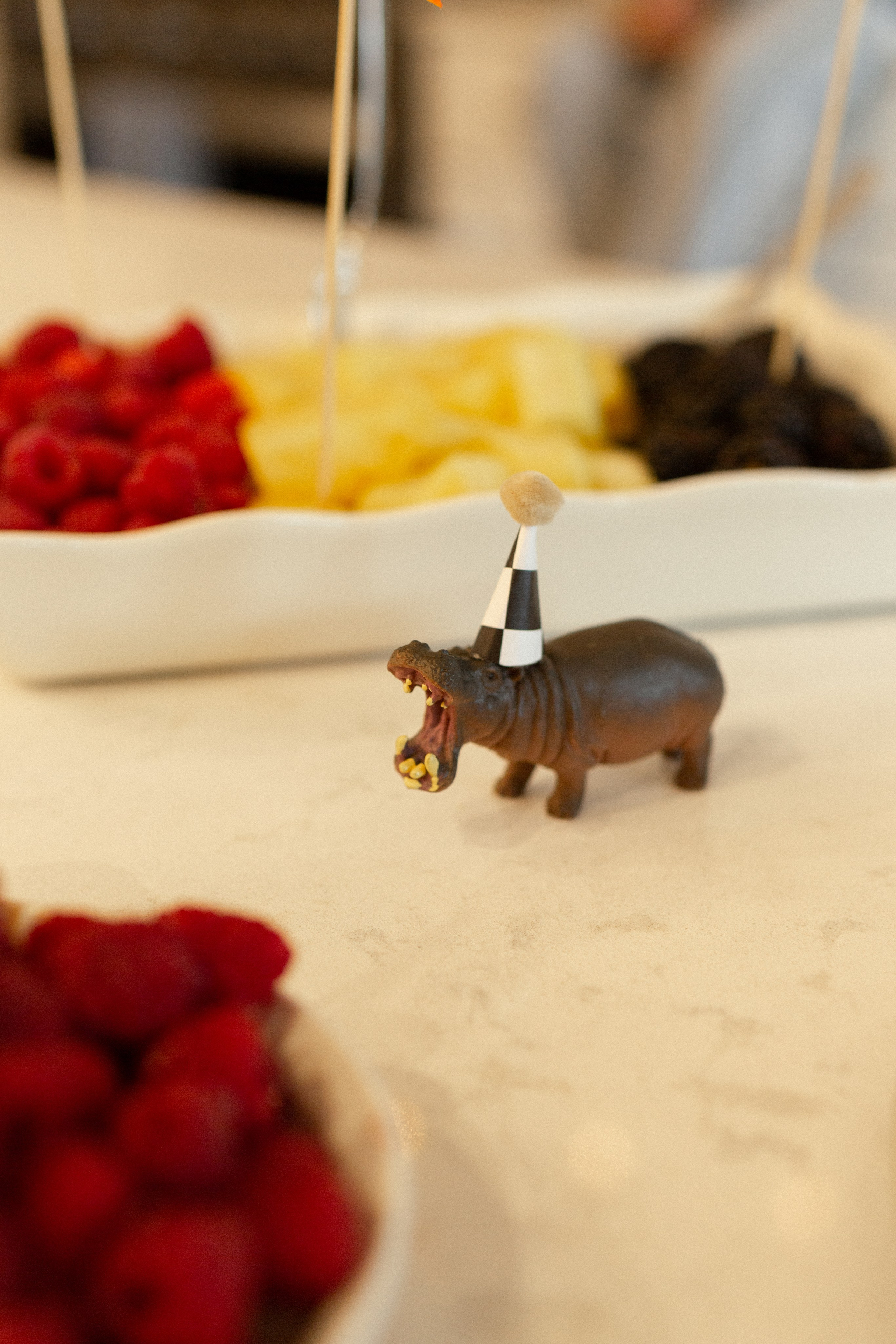 Asya Baby Shower. Photographer Vladmir Gladkov