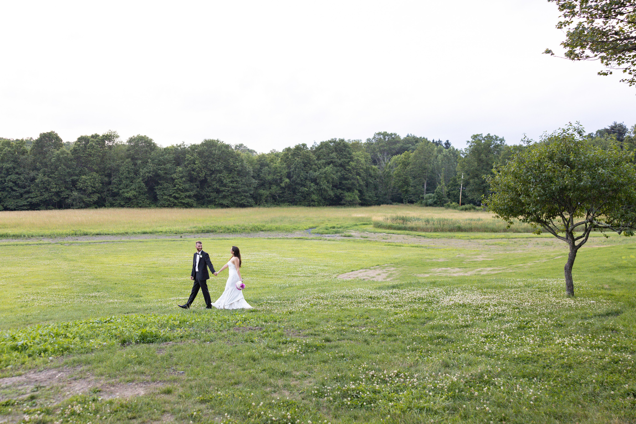 Angelica & Conor. Wedding Photo & Video